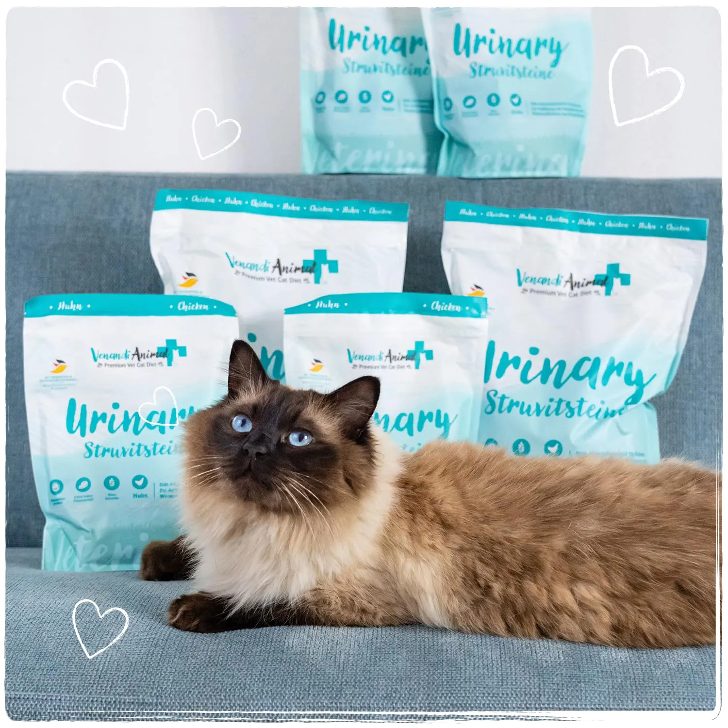 Venandi Animal Vet Cibo secco premium per gatti Urinary/Calcoli di struvite al Pollo, senza cereali, 300 g - immagine 6