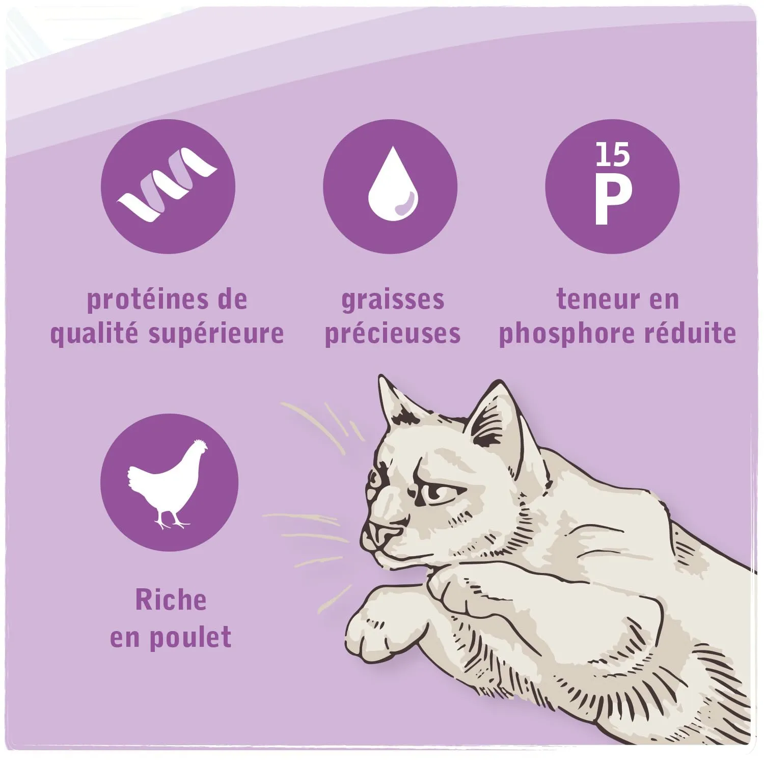 Venandi Animal Vet Cibo secco premium per gatti Renal Pollo, senza cereali, 1.5kg - immagine 4