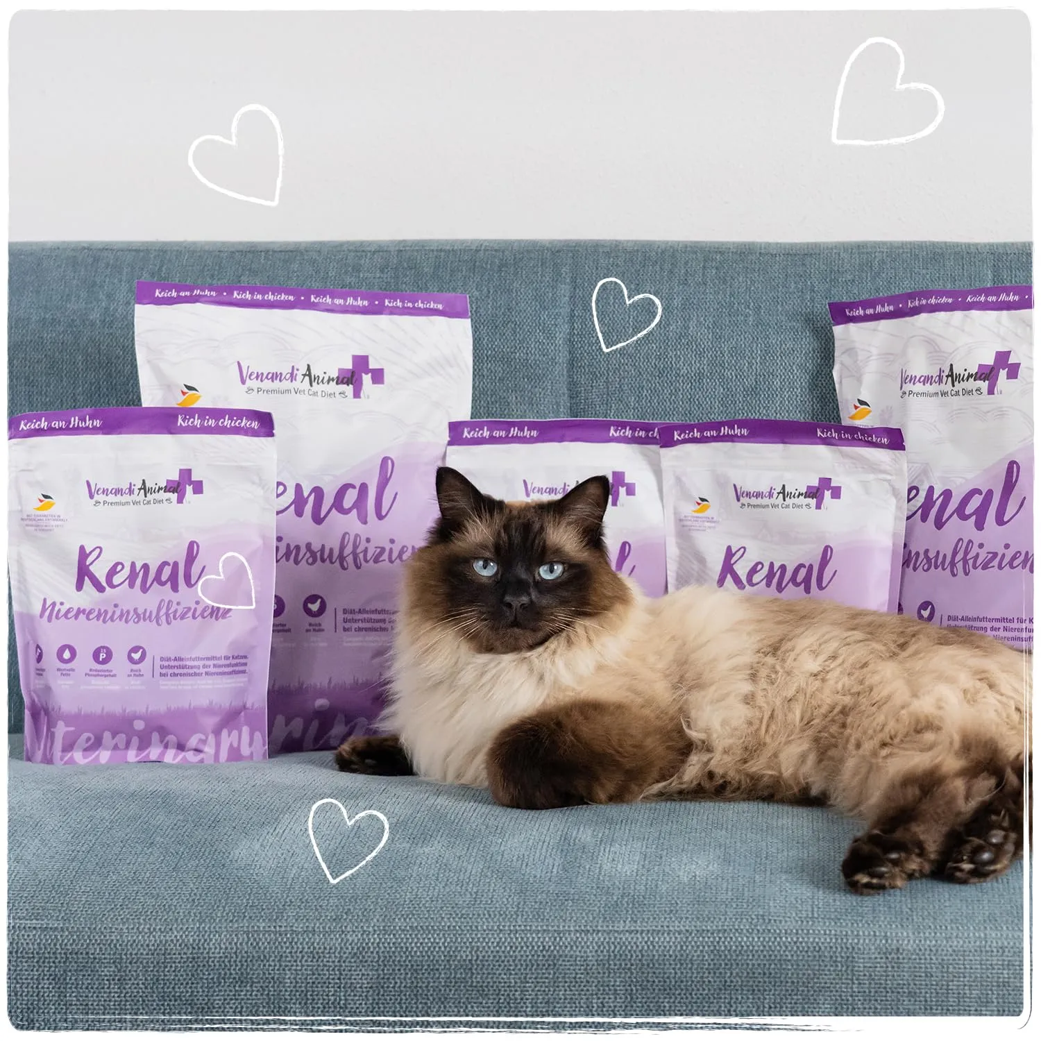 Venandi Animal Vet Cibo secco premium per gatti Renal Pollo, senza cereali, 1.5kg - immagine 6
