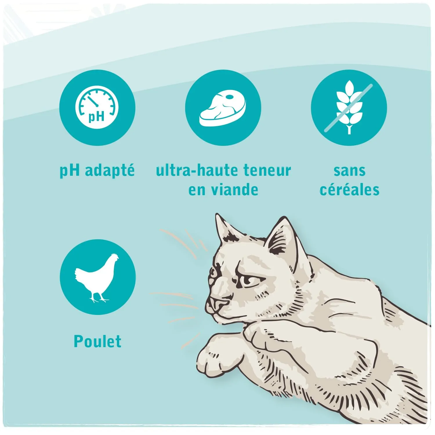 Venandi Animal Vet Cibo secco premium per gatti Dieta Urinary/Calcoli di struvite al Pollo, senza cereali, 1.5 kg - immagine 4