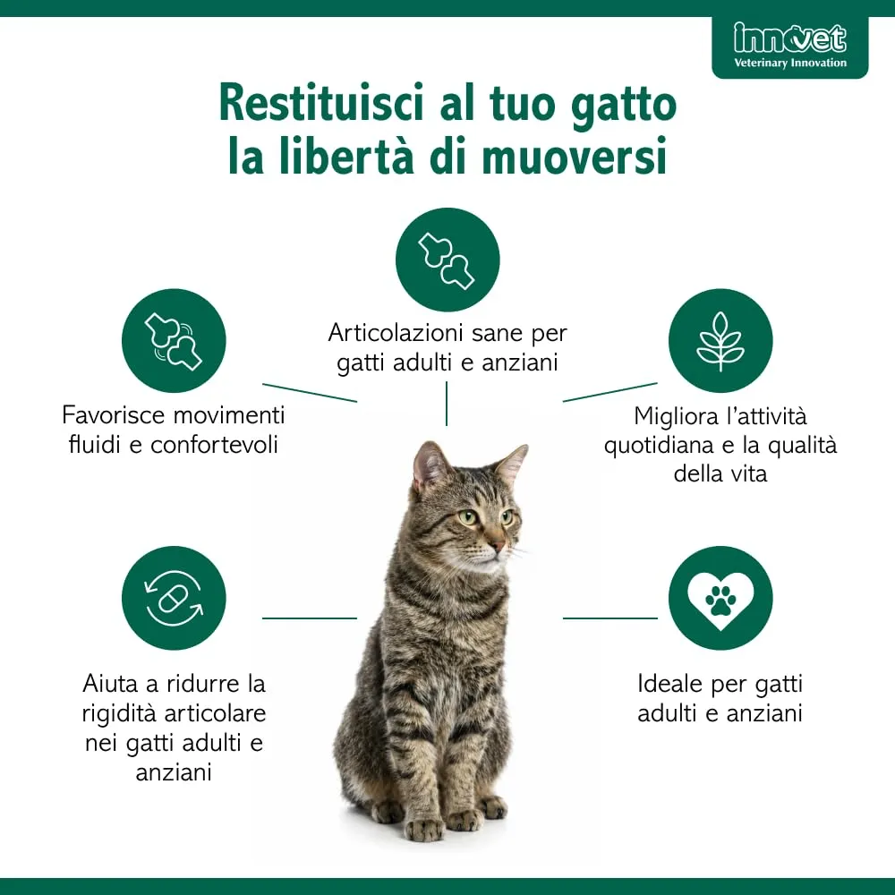 Innovet Condrostress (+) Cat Supplemento Articolare con Membrana d’Uovo e Vitamina E - 30 cps - immagine 2