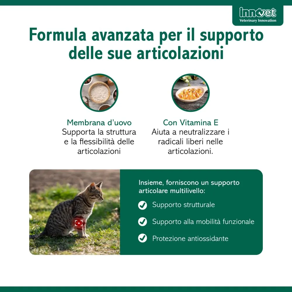 Innovet Condrostress (+) Cat Supplemento Articolare con Membrana d’Uovo e Vitamina E - 30 cps - immagine 3