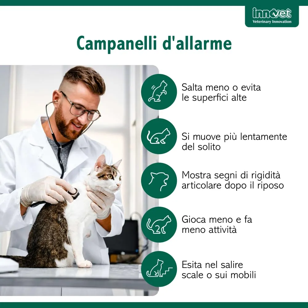 Innovet Condrostress (+) Cat Supplemento Articolare con Membrana d’Uovo e Vitamina E - 30 cps - immagine 5