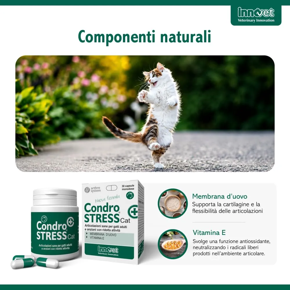 Innovet Condrostress (+) Cat Supplemento Articolare con Membrana d’Uovo e Vitamina E - 30 cps - immagine 7