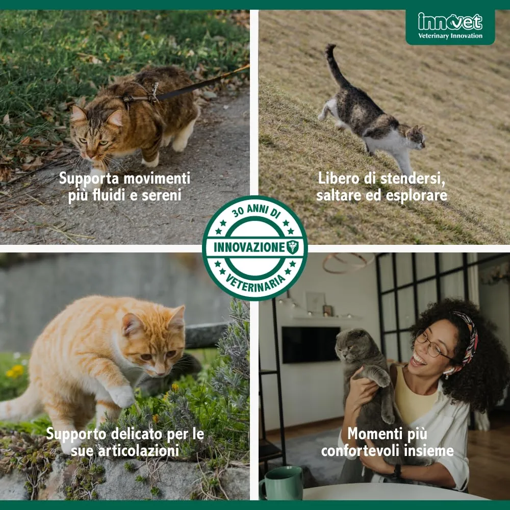 Innovet Condrostress (+) Cat Supplemento Articolare con Membrana d’Uovo e Vitamina E - 30 cps - immagine 8