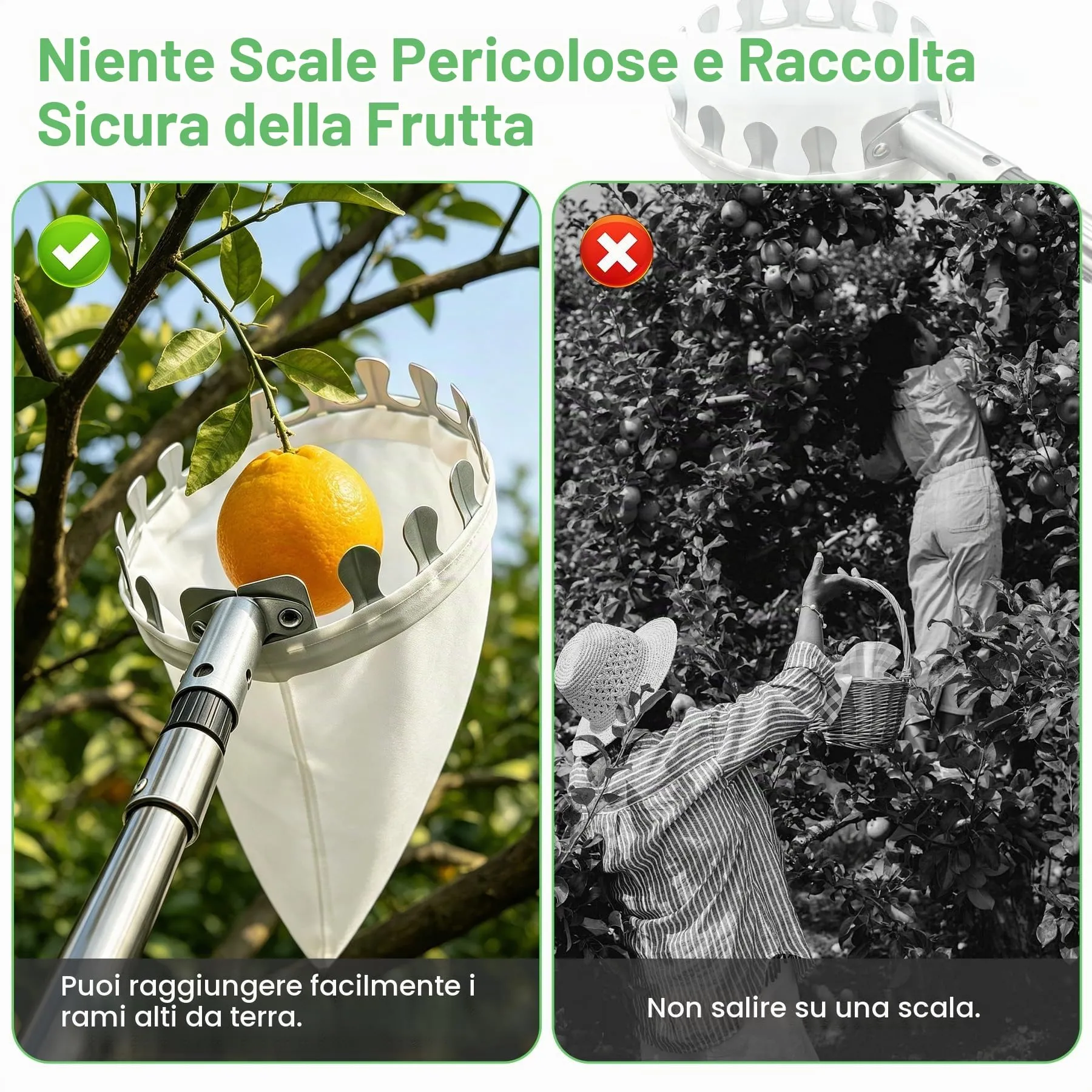 TZEKING Raccoglifrutta Telescopico 4,2m in Acciaio Inox con Borsa in Cotone e Zaino, Diametro 16 cm - immagine 3