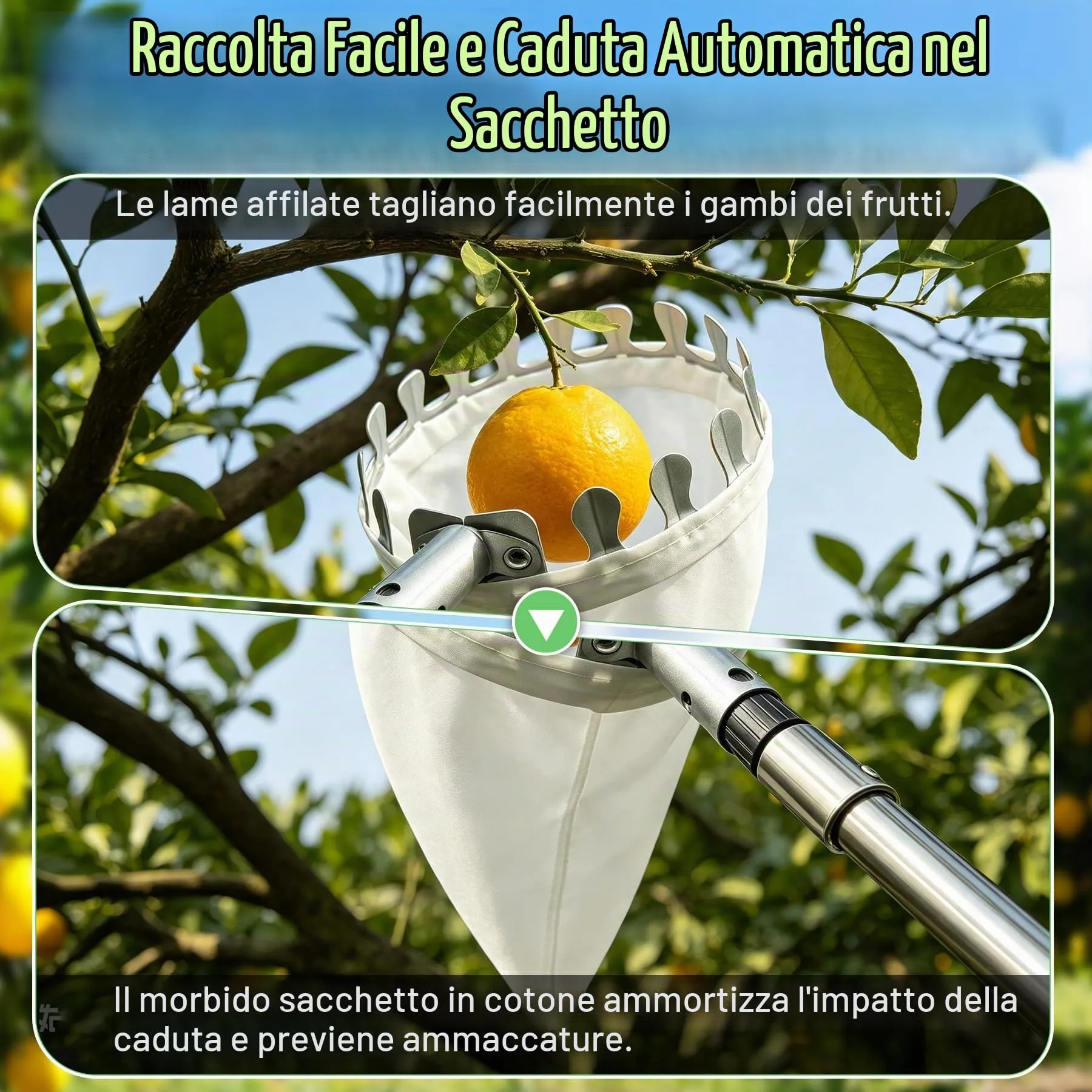 TZEKING Raccoglifrutta Telescopico 4,2m in Acciaio Inox con Borsa in Cotone e Zaino, Diametro 16 cm - immagine 6
