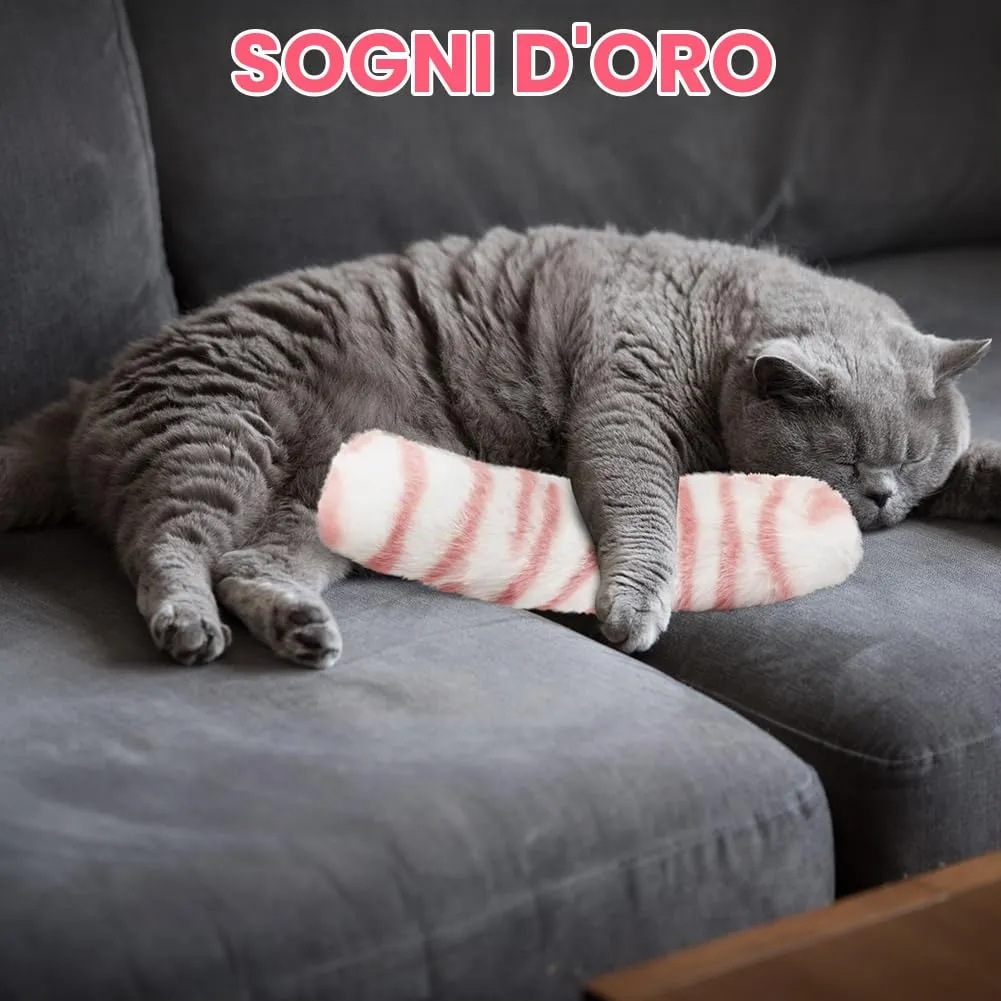 OSDUE Giocattoli Erba Gatta, 3 Pezzi Cuscini in Peluche Interattivi per Gatti - immagine 6