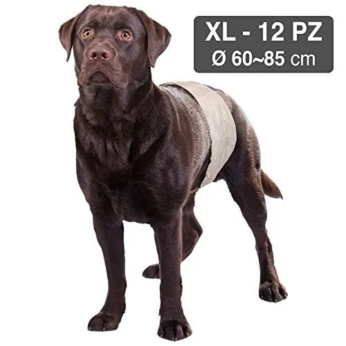 Croci Dog Nappy per cani maschi, Taglia XL (60-85 cm), 12 pz - immagine 6
