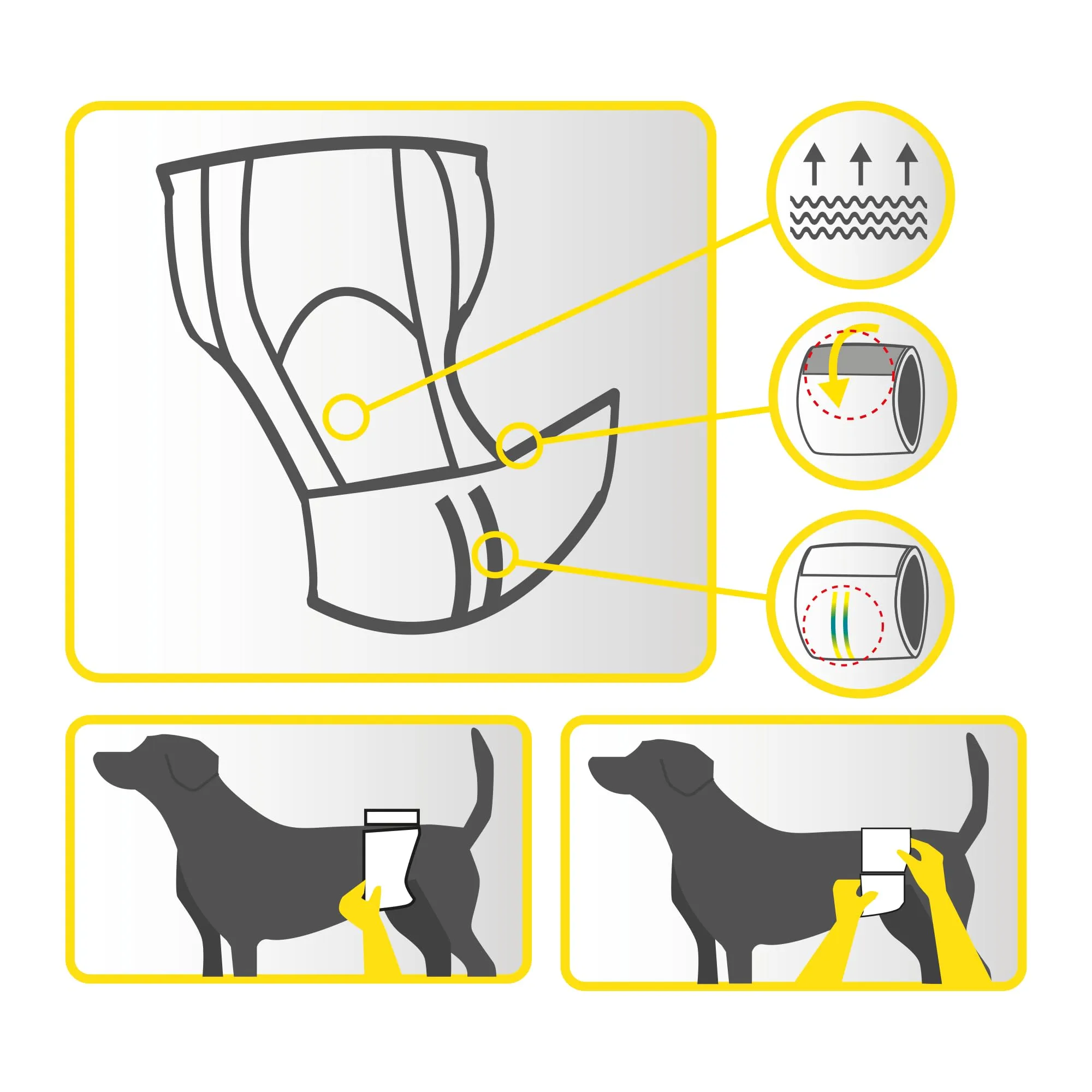 Croci Dog Nappy per cani maschi, Taglia M (40-50 cm), 12 pz - immagine 4