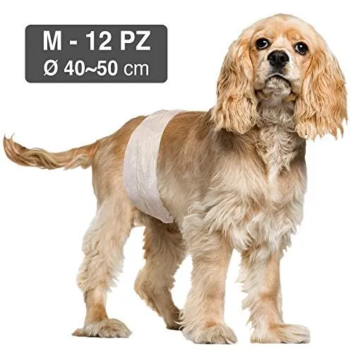Croci Dog Nappy per cani maschi, Taglia M (40-50 cm), 12 pz - immagine 6