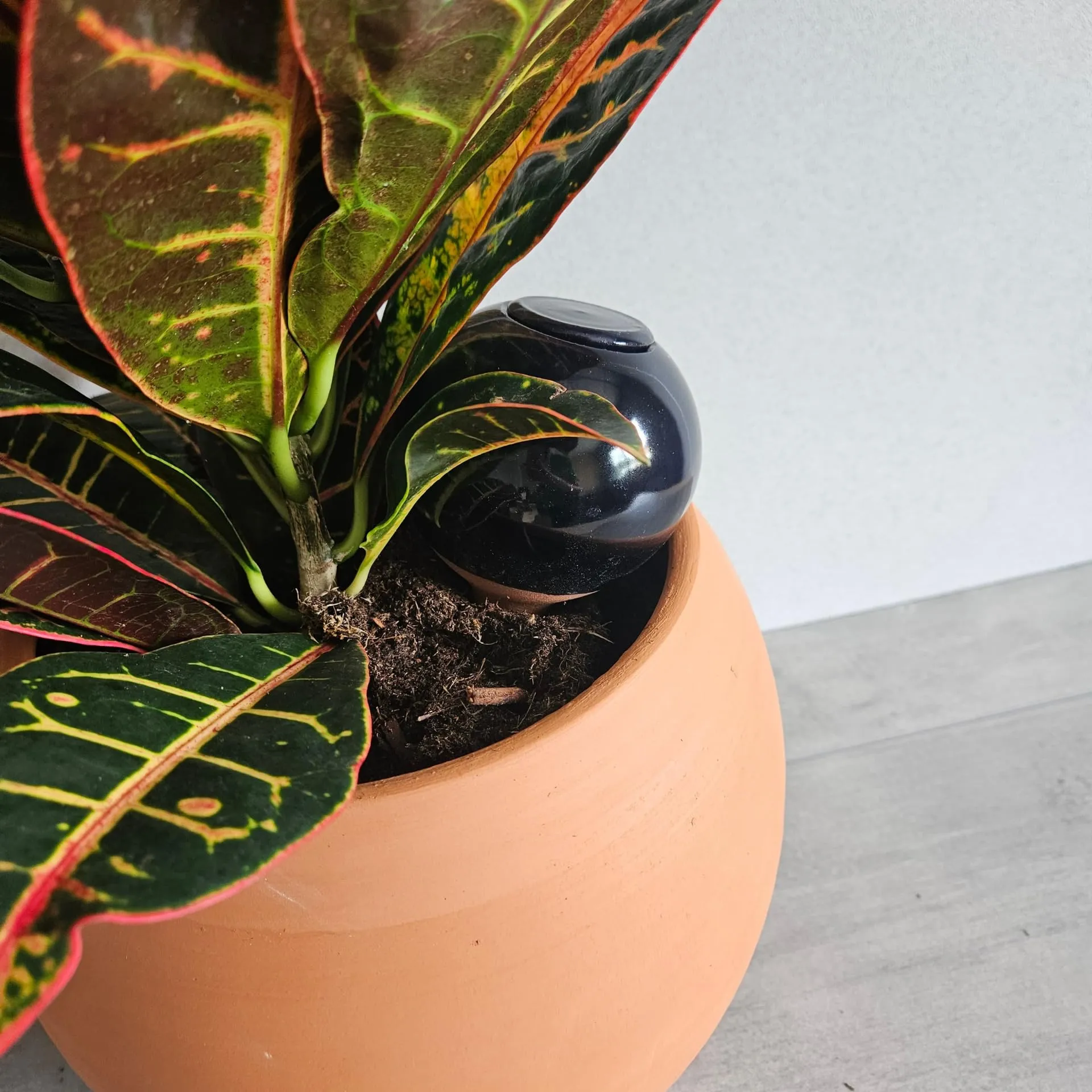 Ollas Lutton Mini Olla Terracotta 25cl Blue Night - immagine 4