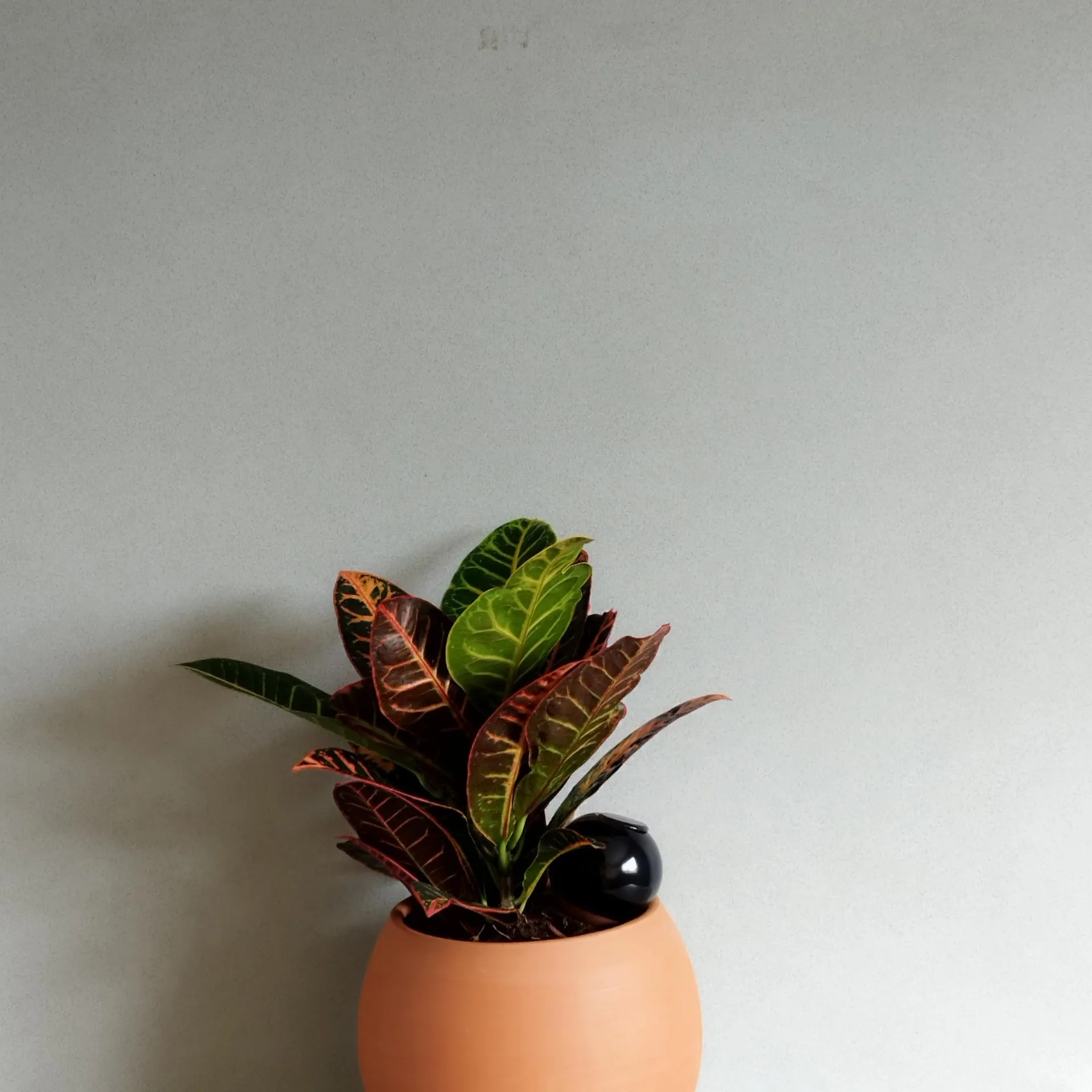 Ollas Lutton Mini Olla Terracotta 25cl Blue Night - immagine 7