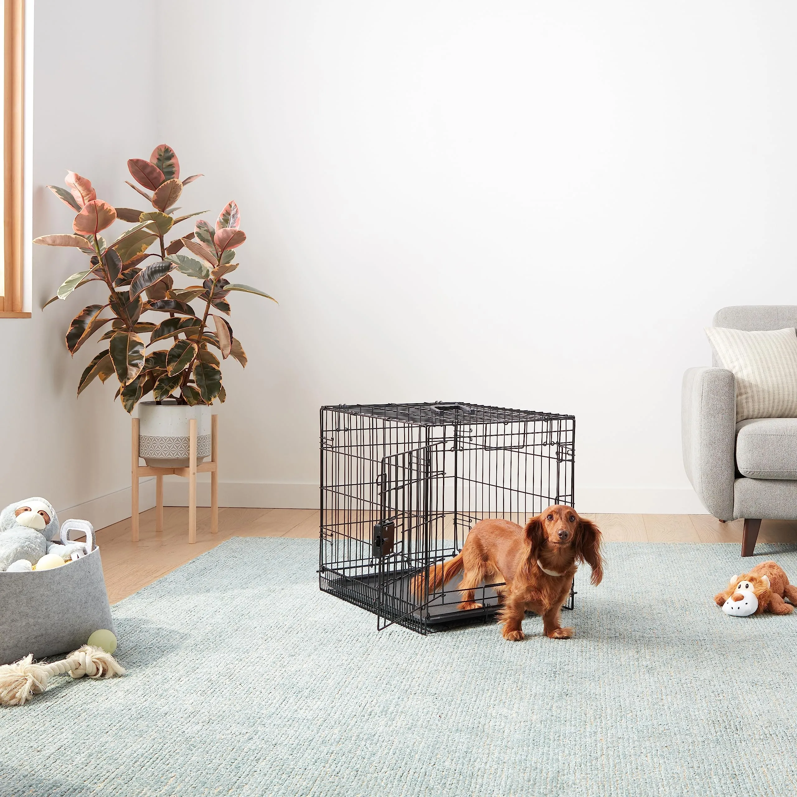Amazon Basics Gabbia per cani in metallo pieghevole con vassoio rimovibile, Nero, 61 x 46 x 51 cm - immagine 6