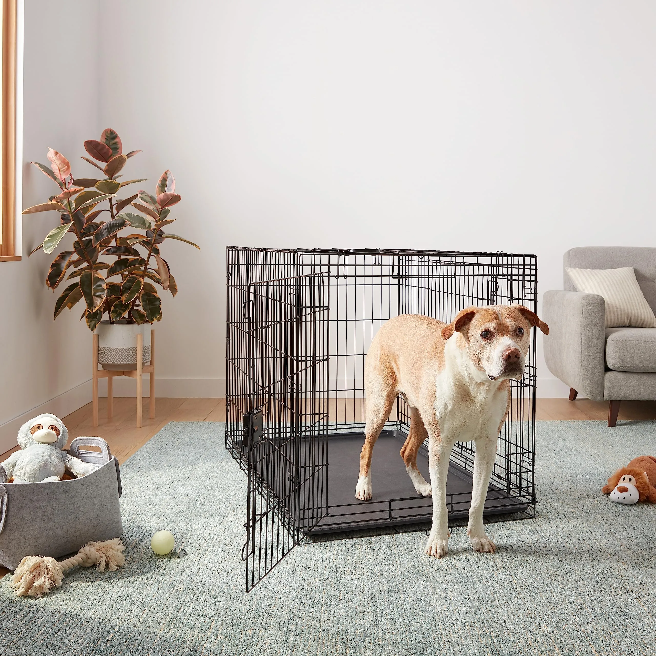 Amazon Basics Gabbia per cani in metallo pieghevole con vassoio rimovibile e doppio sportello, Nero, 122 x 76.2 x 82.5 cm - immagine 6