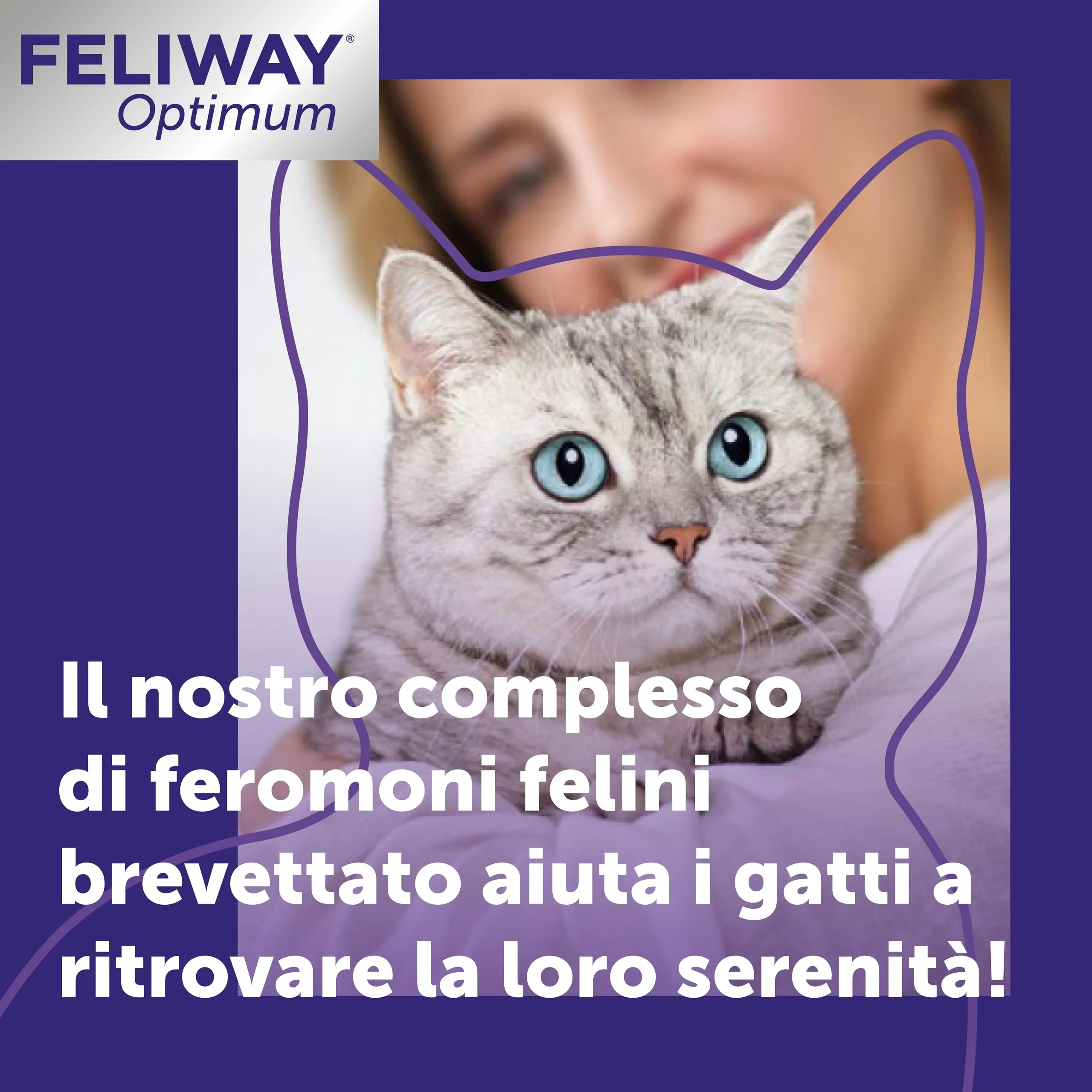 FELIWAY Optimum Ricarica di Feromoni Calmanti per Gatti, 3x48ml - immagine 2