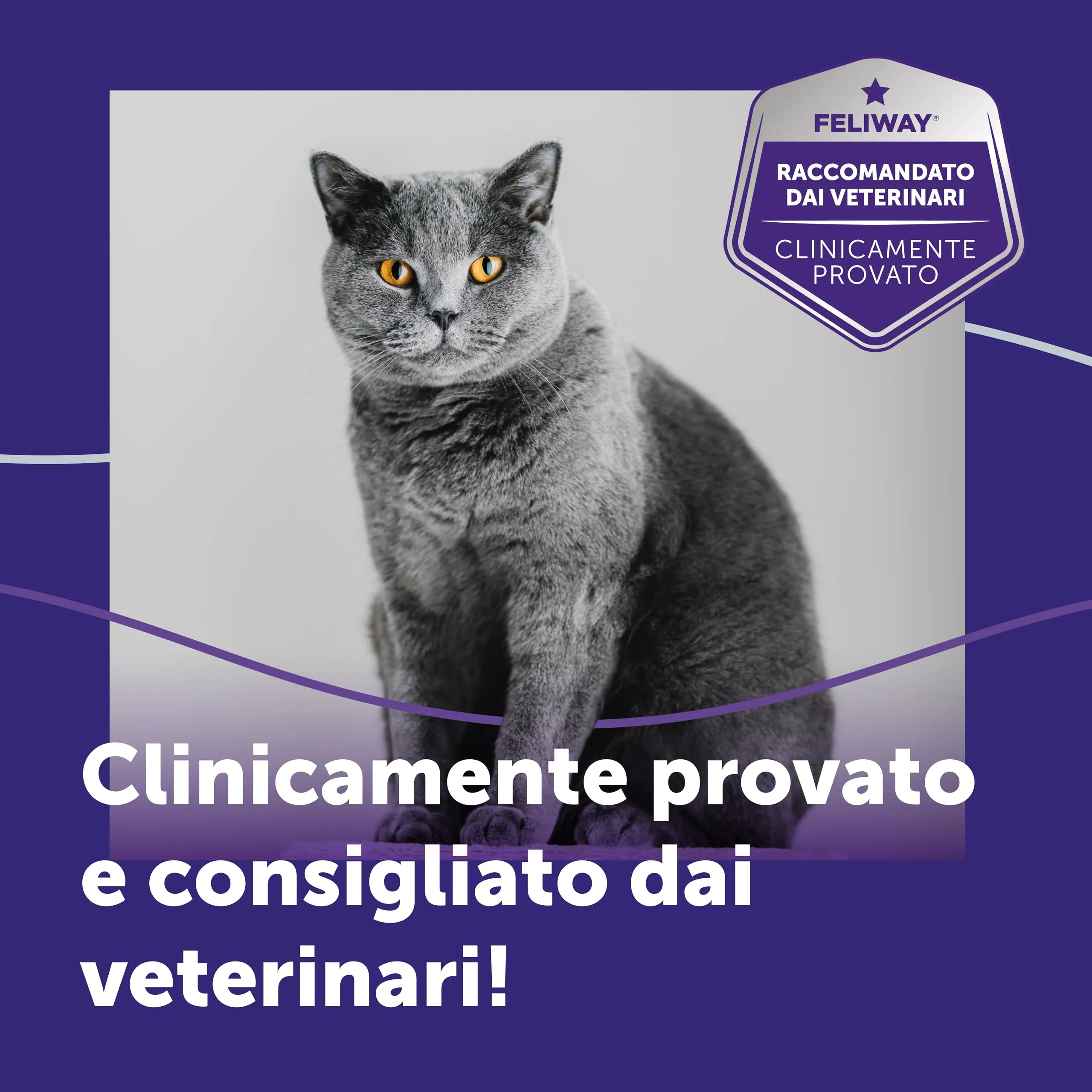 FELIWAY Optimum Ricarica di Feromoni Calmanti per Gatti, 3x48ml - immagine 8
