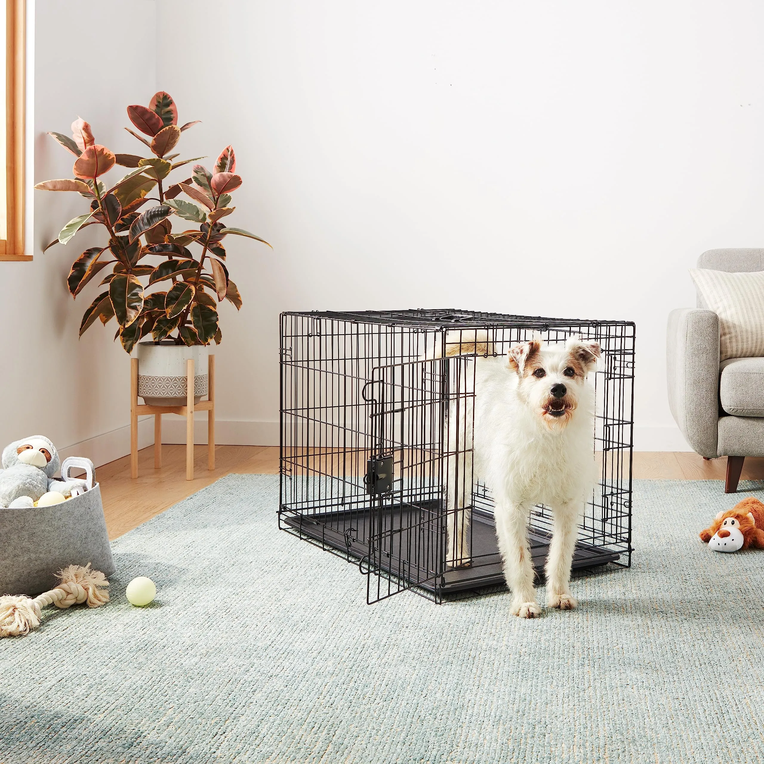 Amazon Basics Gabbia per Cani in Metallo Pieghevole con Vassoio Rimovibile e Doppio Sportello, Nero, 91 x 58 x 64 cm - immagine 6