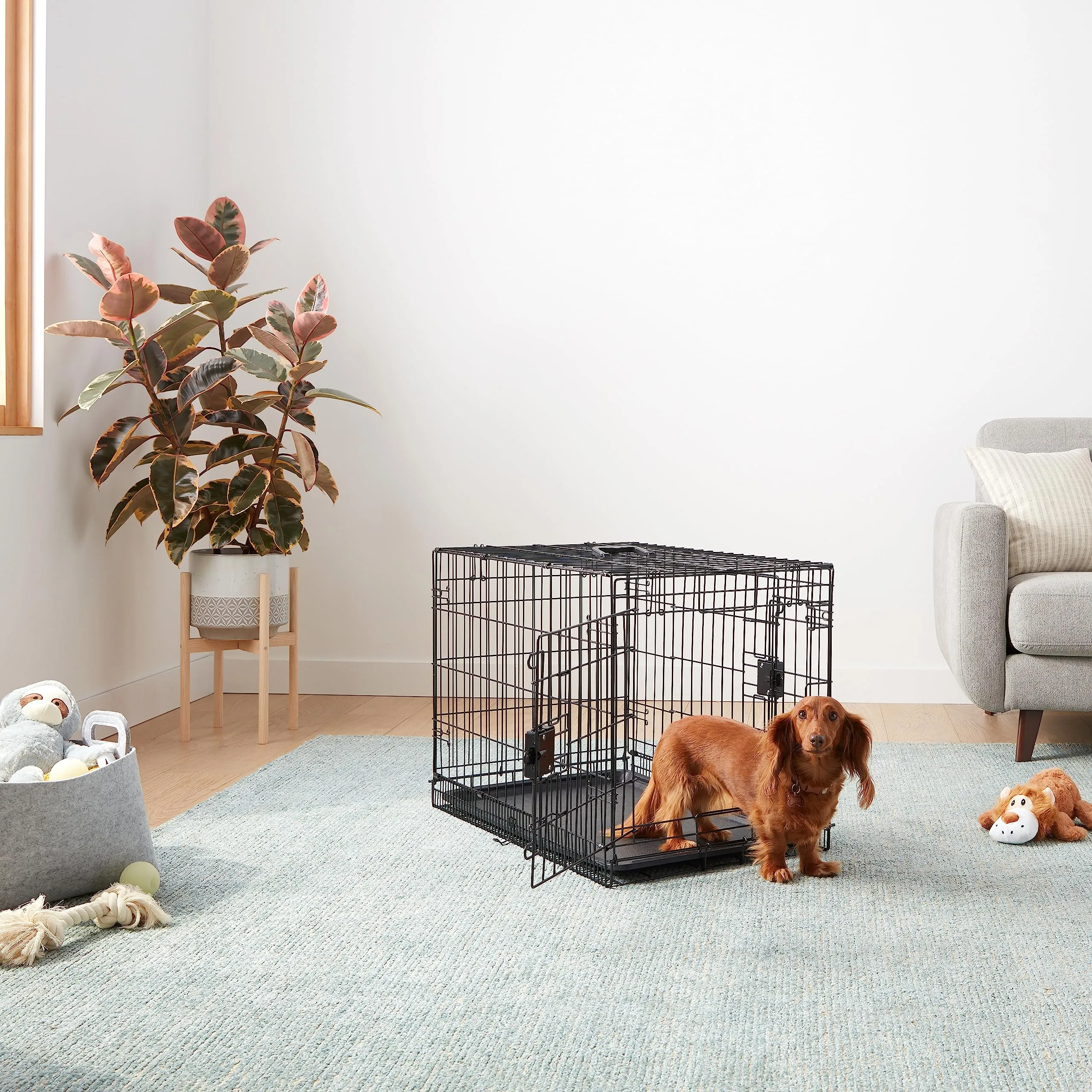 Amazon Basics Gabbia per cani in metallo pieghevole con vassoio rimovibile e doppio sportello, Nero, 80x50x11 cm - immagine 6