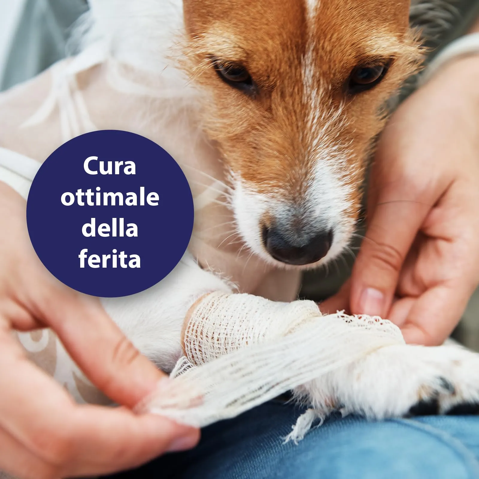 Canosept Gel per Ferite Cane 20ml - immagine 2