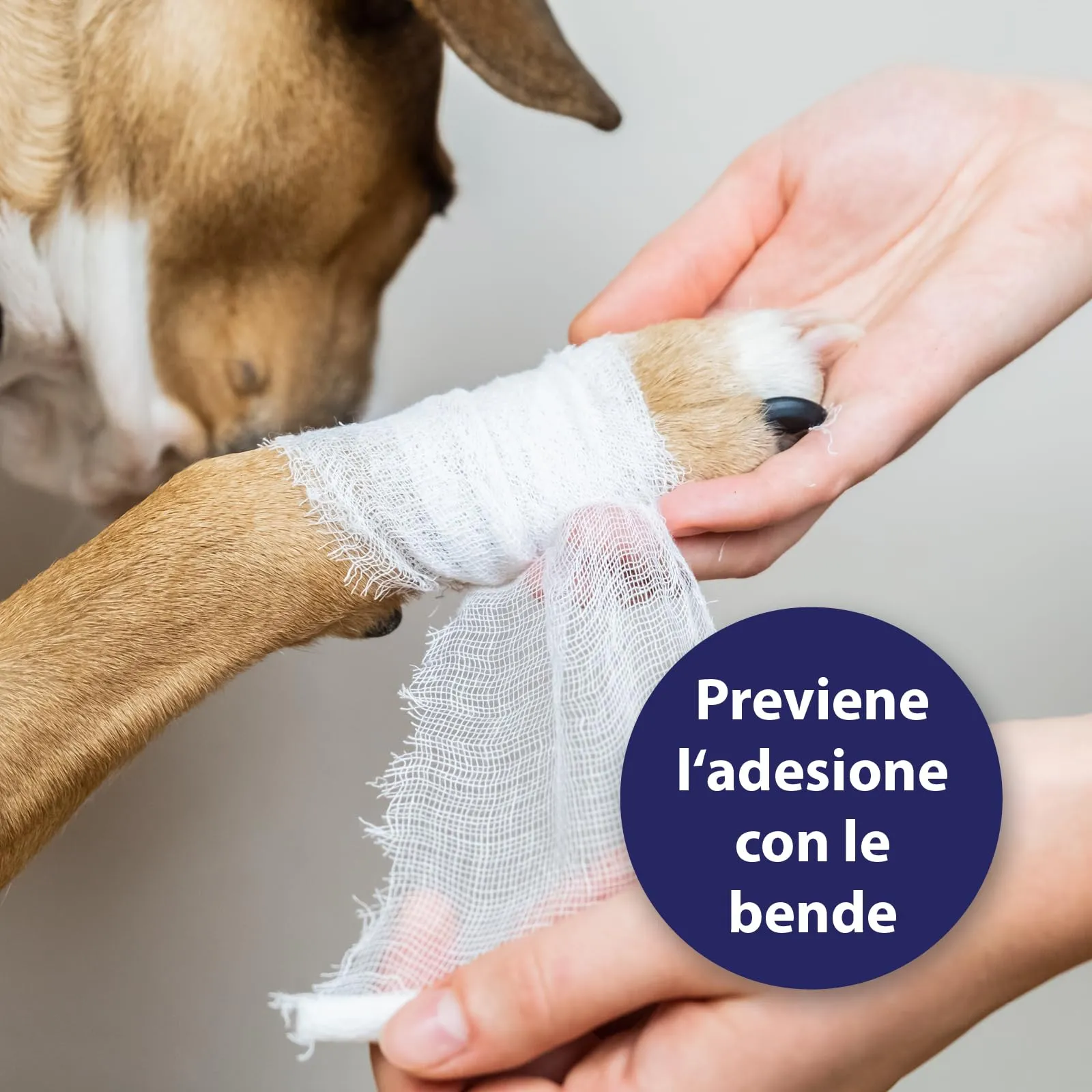 Canosept Gel per Ferite Cane 20ml - immagine 5