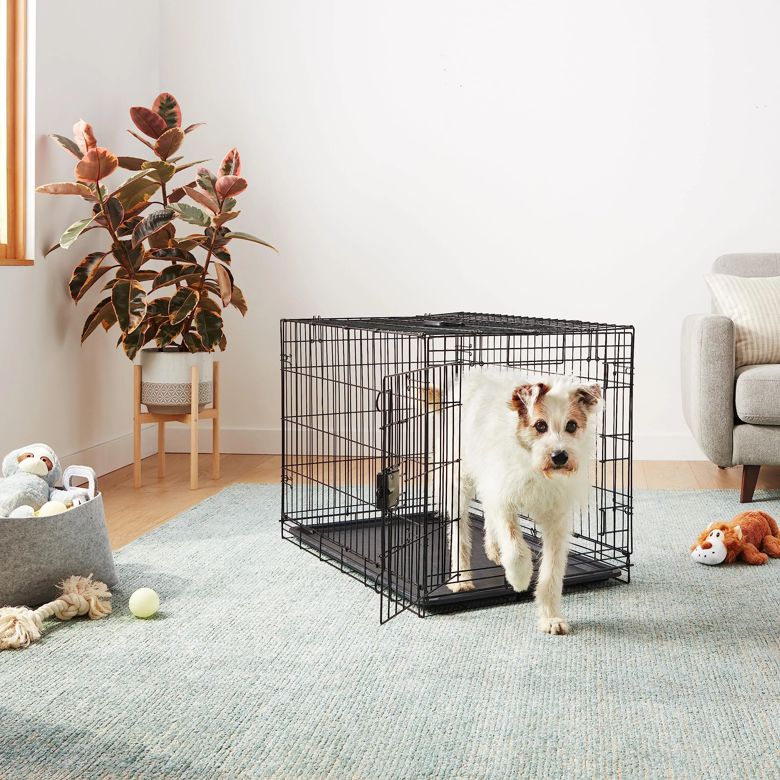Amazon Basics Gabbia per cani in metallo pieghevole con vassoio rimovibile, Nero, 91 x 58 x 64 cm - immagine 6