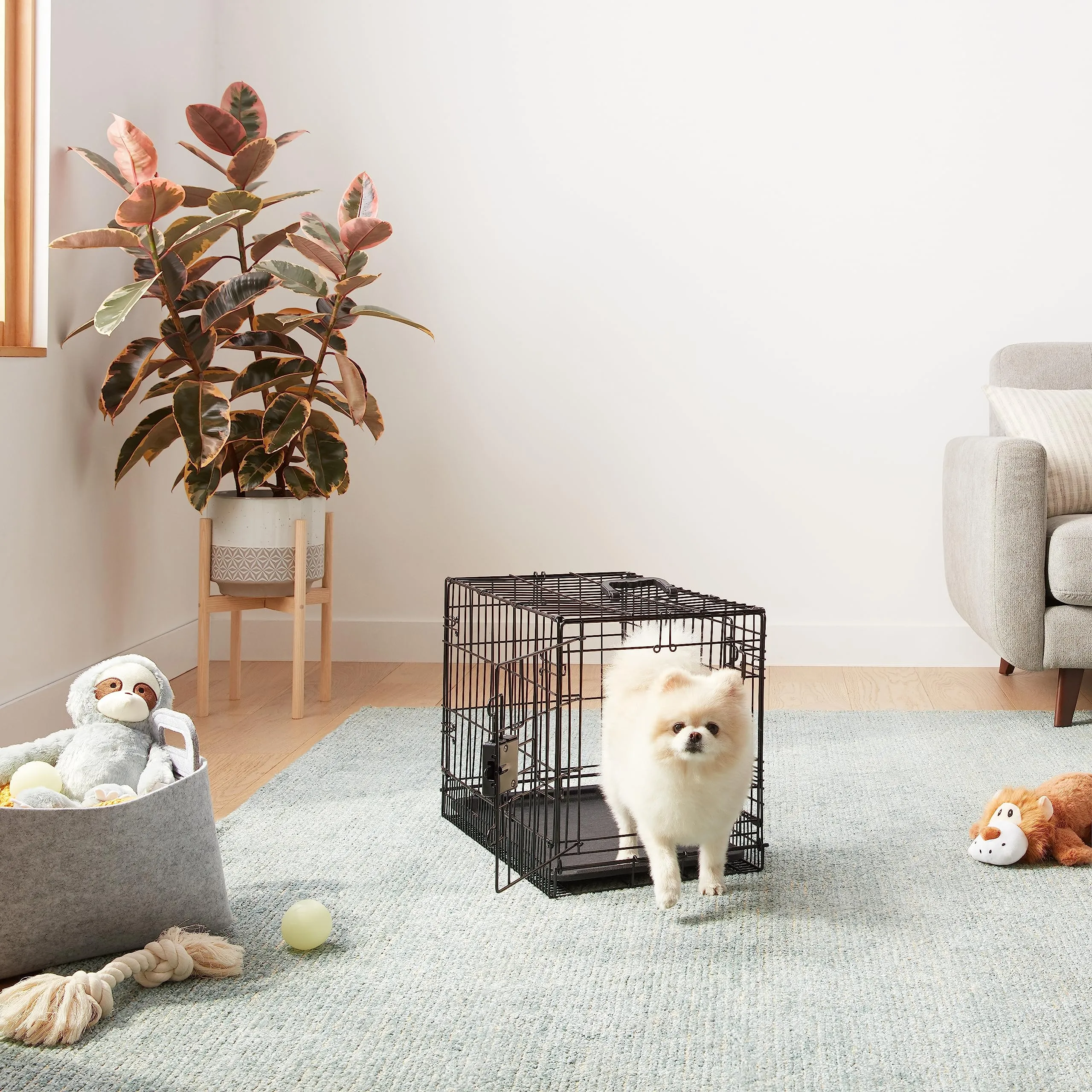 Amazon Basics Gabbia per cani in metallo pieghevole con vassoio di base e doppio sportello, Nero, 56 x 33 x 40.6 cm - immagine 6