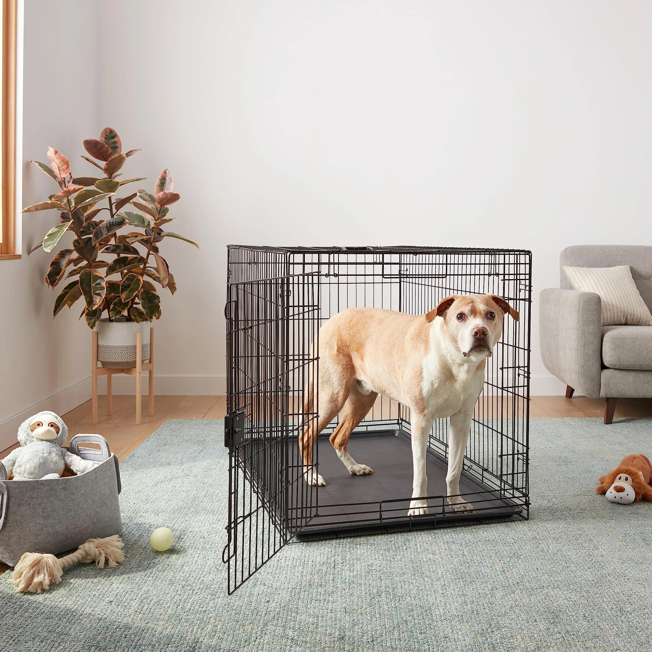 Amazon Basics Gabbia per Cani in Metallo, Pieghevole con Vassoio Rimovibile, 122 x 76.2 x 82.5 cm, Nero - immagine 6