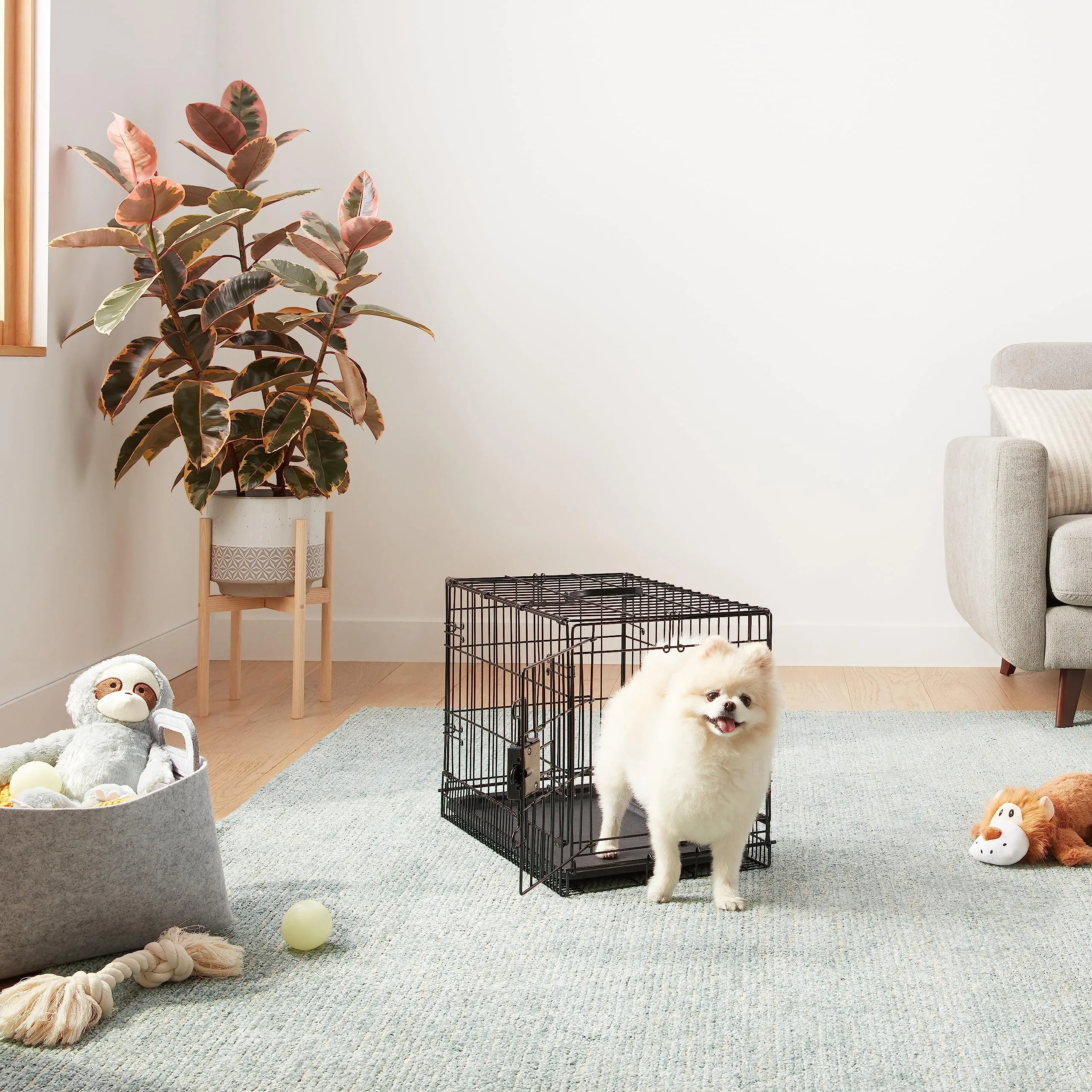 Amazon Basics Gabbia per cani in metallo pieghevole con vassoio rimovibile, Nero, 56 x 33 x 41 cm - immagine 6