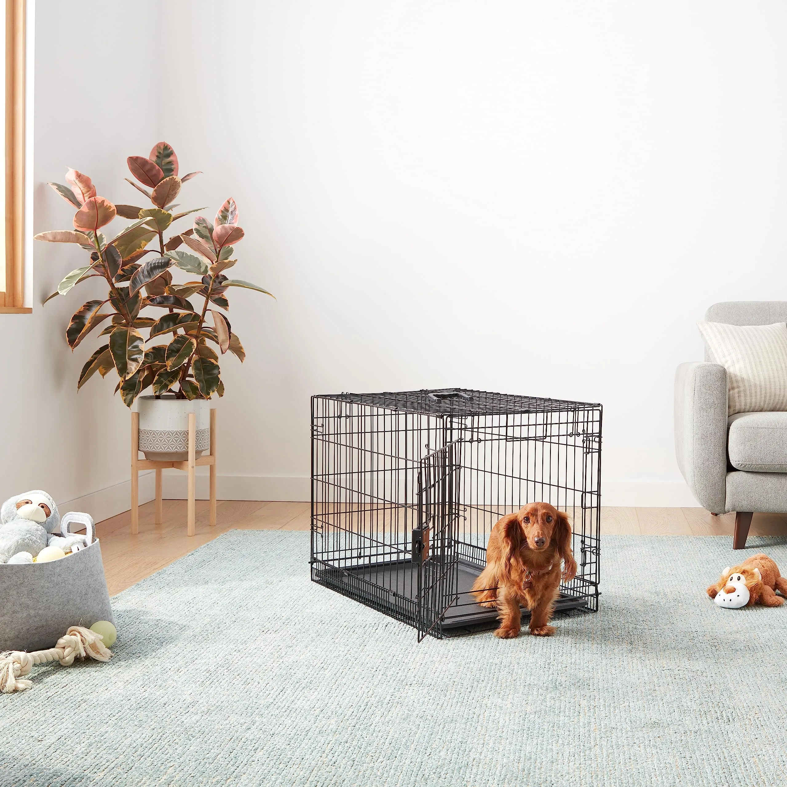 Amazon Basics Gabbia per cani in metallo pieghevole, Nero, 76.2 x 48.3 x 53.3 cm - immagine 6