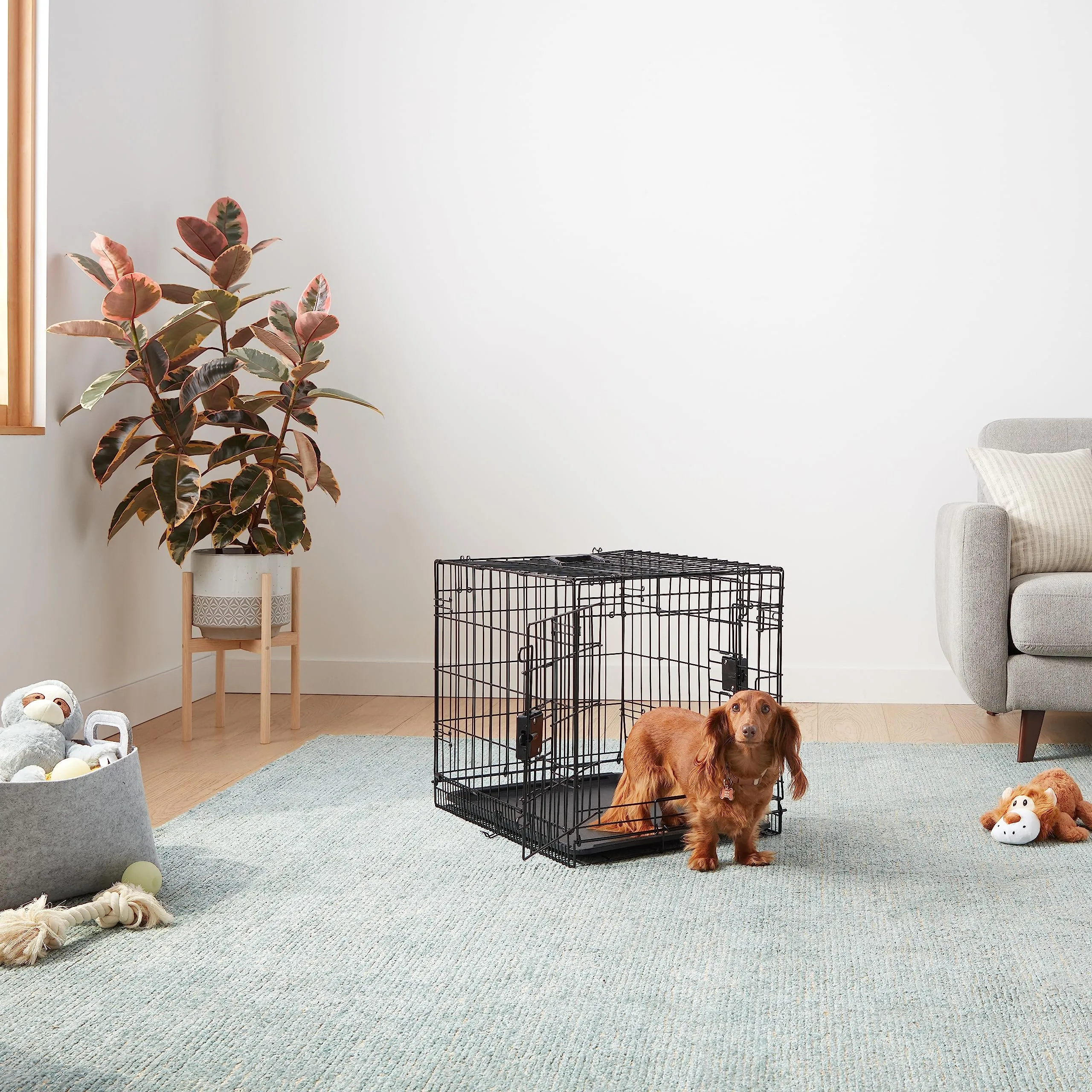 Amazon Basics Gabbia per Cane in Metallo Pieghevole con Vassoio e Doppio Sportello, 61 x 46 x 51 cm, Nero - immagine 6