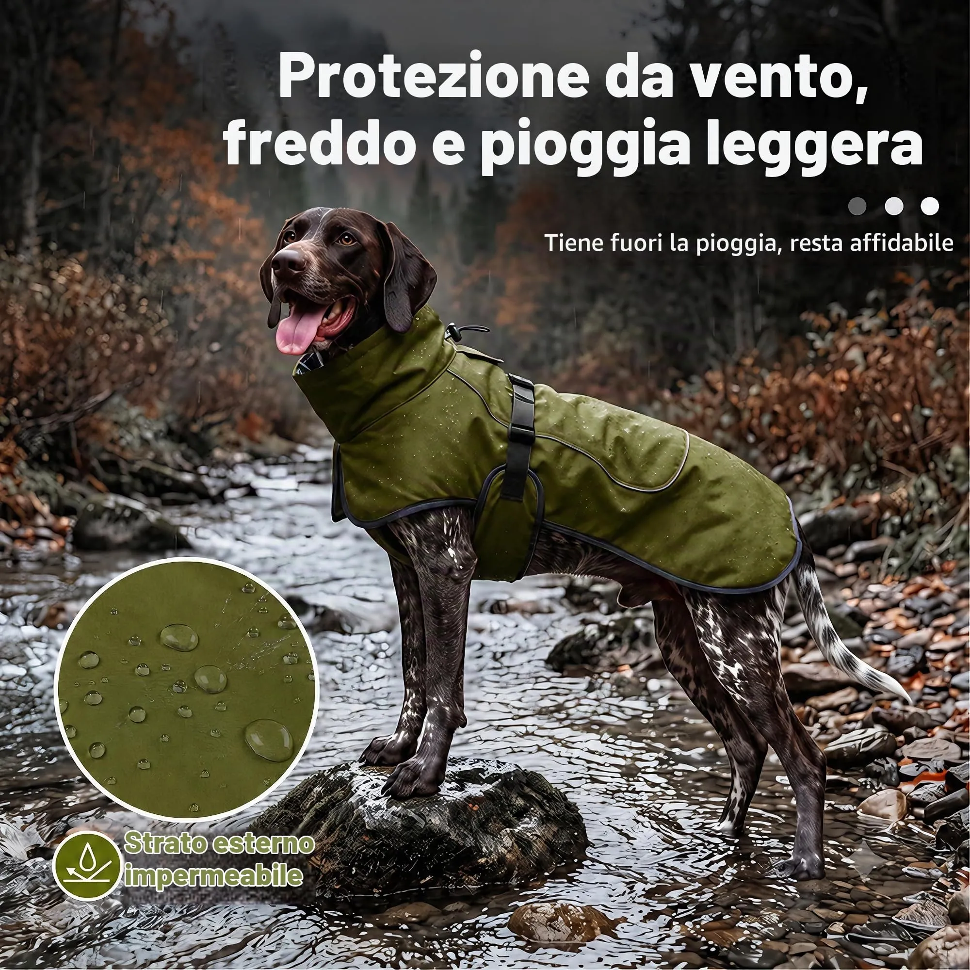 HEYWEAN Giacca Impermeabile e Riflettente per Cani con Fodera in Pile - immagine 3