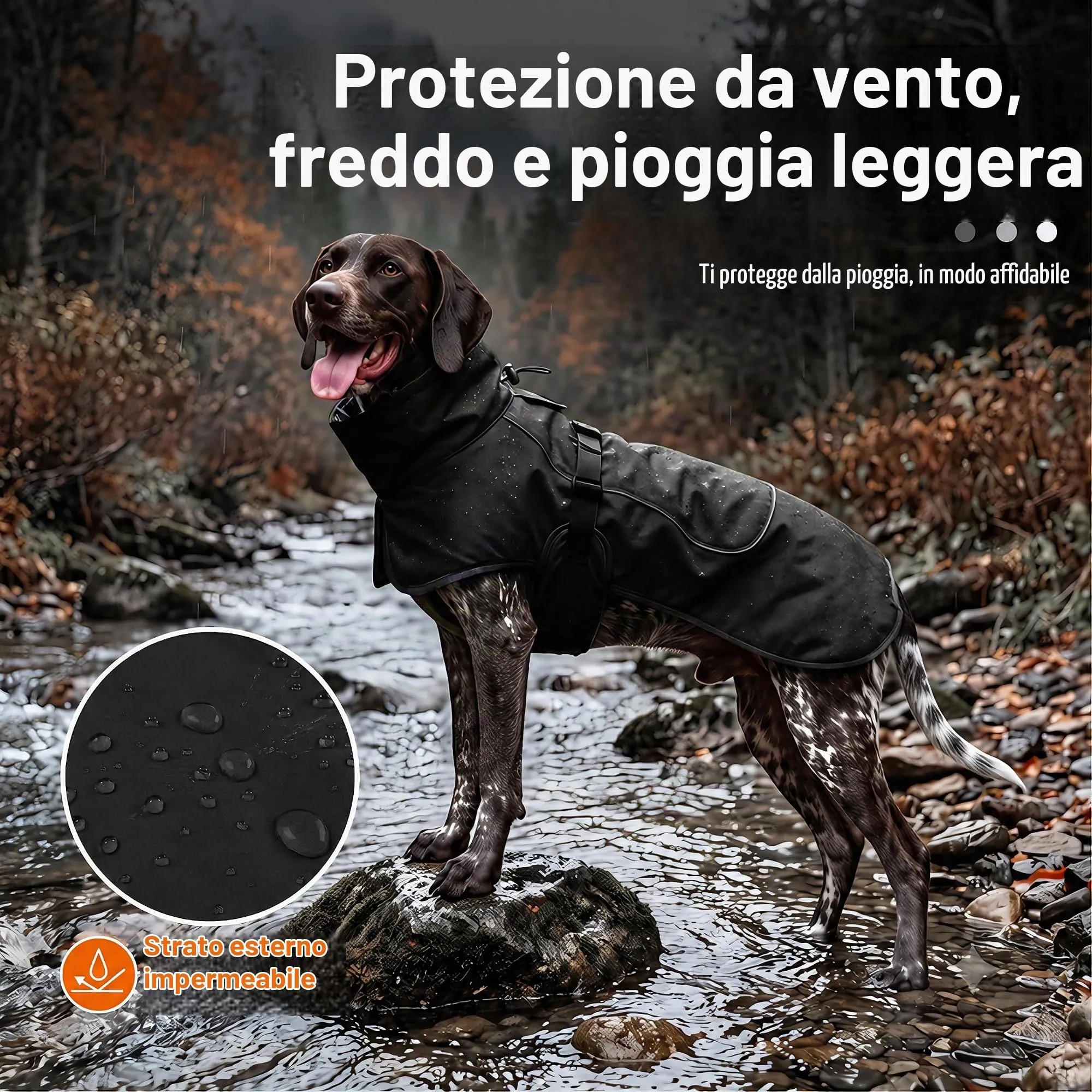 HEYWEAN Giacca Impermeabile e Riflettente per Cani con Fodera in Pile, Nero - immagine 3