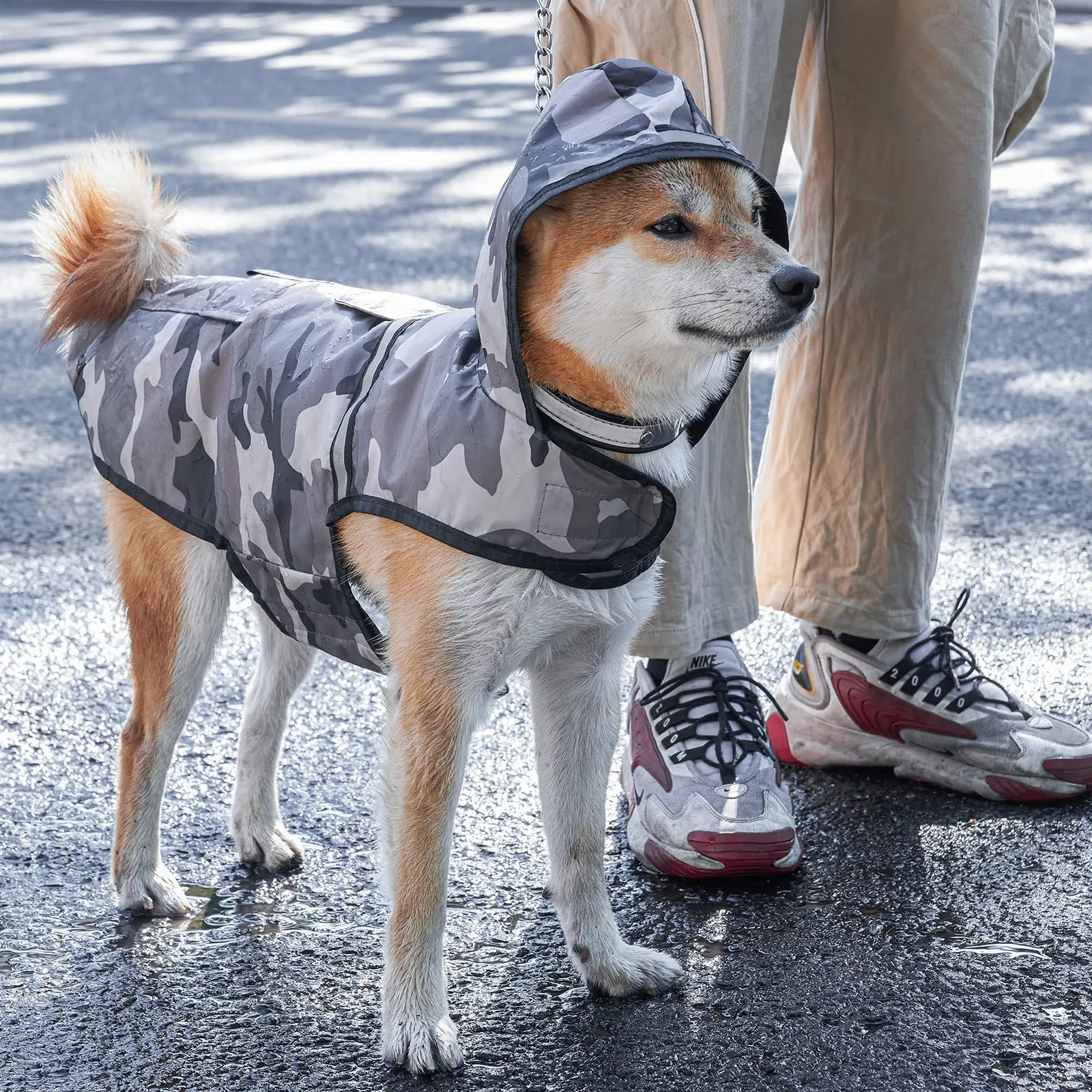 KoKoBin Giacca Impermeabile Riflettente per Cani con Cappuccio, Mimetico Grigio, M - immagine 6