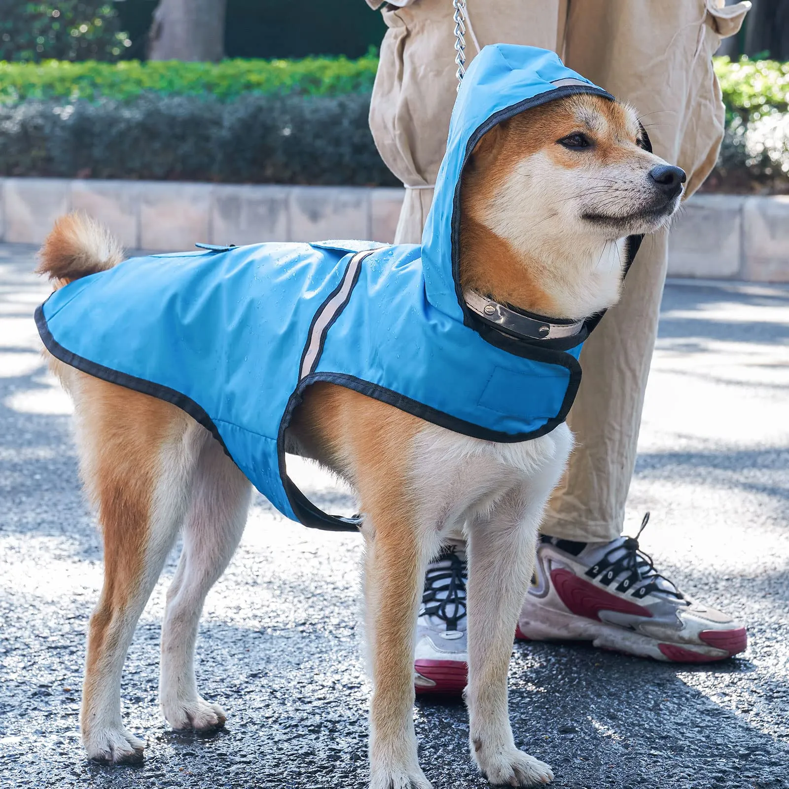 KoKoBin Giacca Impermeabile Riflettente per Cani con Cappuccio, Blu, L - immagine 6