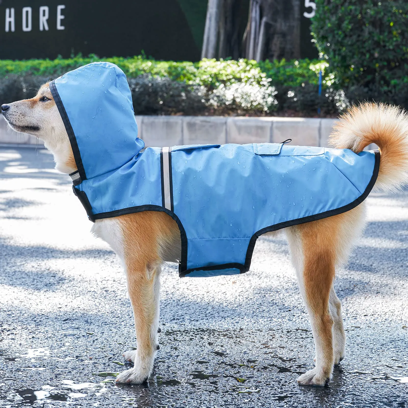 KoKoBin Giacca Impermeabile Riflettente per Cani con Cappuccio, Blu, M - immagine 5