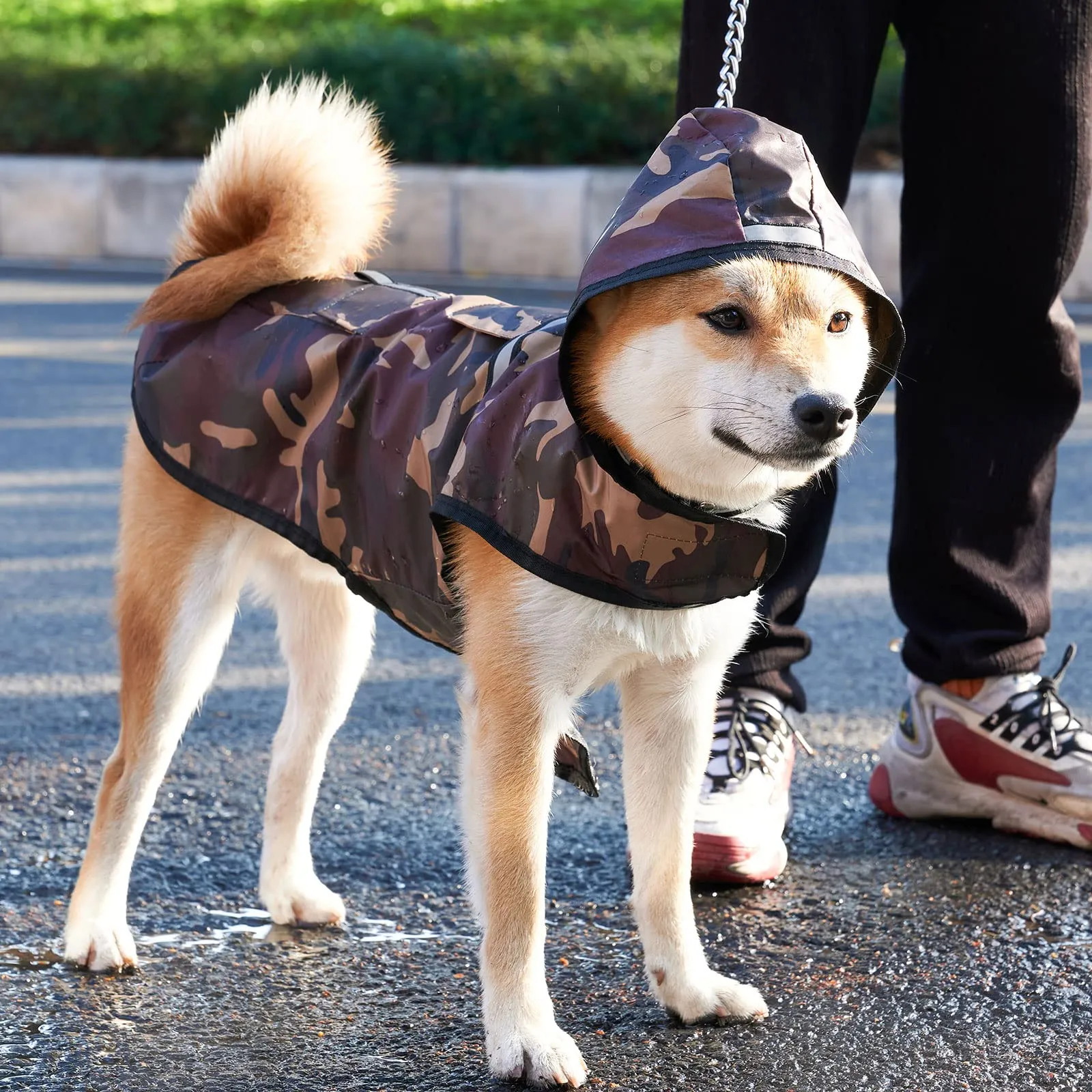 KoKoBin Giacca Impermeabile e Riflettente per Cani con Cappuccio, Marrone, XL - immagine 6