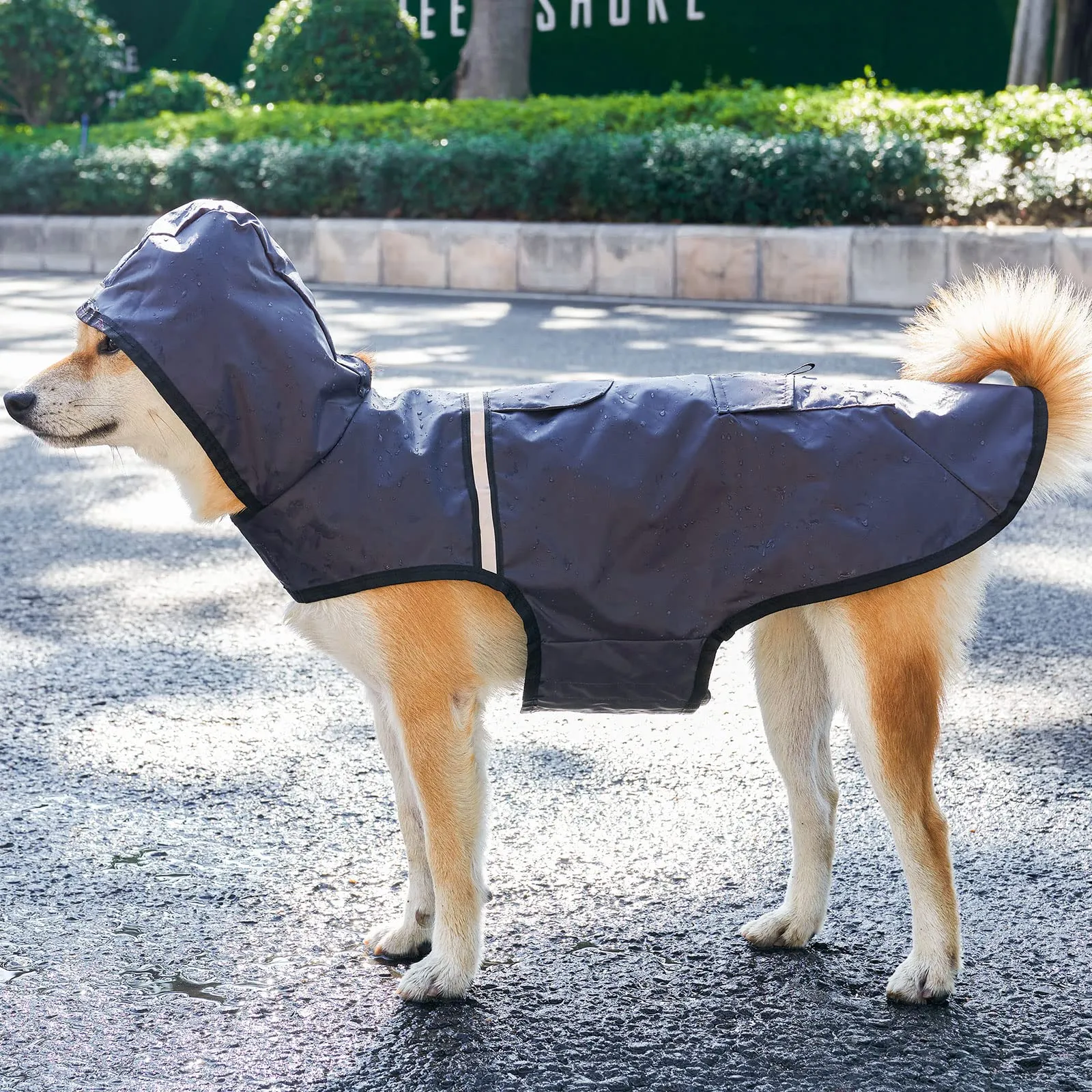 KoKoBin Giacca Impermeabile e Riflettente per Cani con Cappuccio, Grigio, M - immagine 5