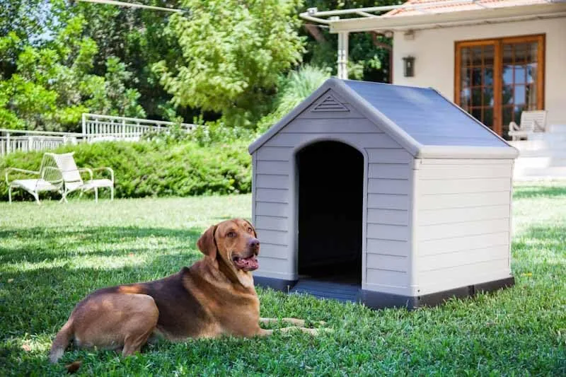 Curver Keter Cuccia per Cane, Grigia, 95 x 99 x 99H cm - immagine 3