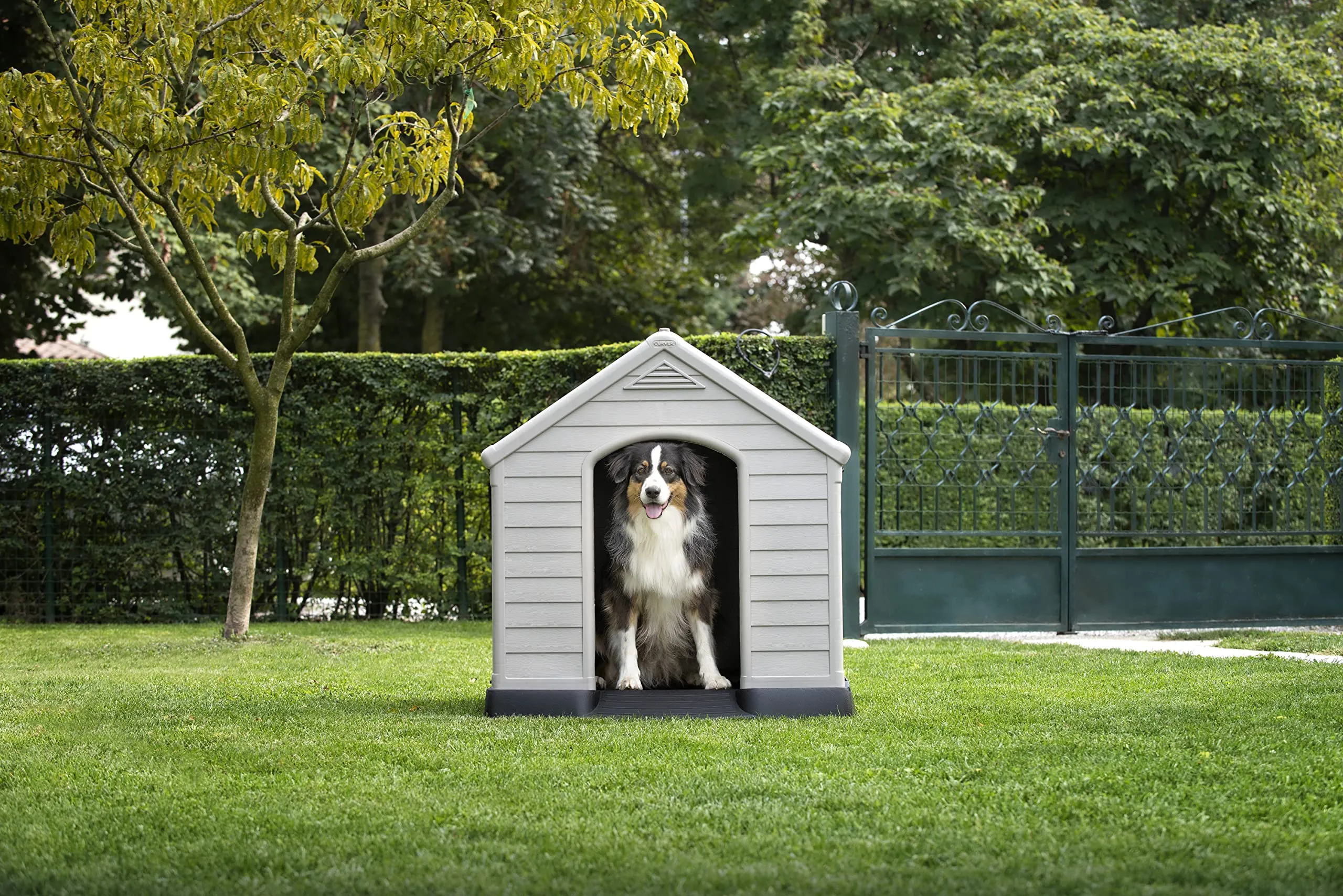 Curver Keter Cuccia per Cane, Grigia, 95 x 99 x 99H cm - immagine 4