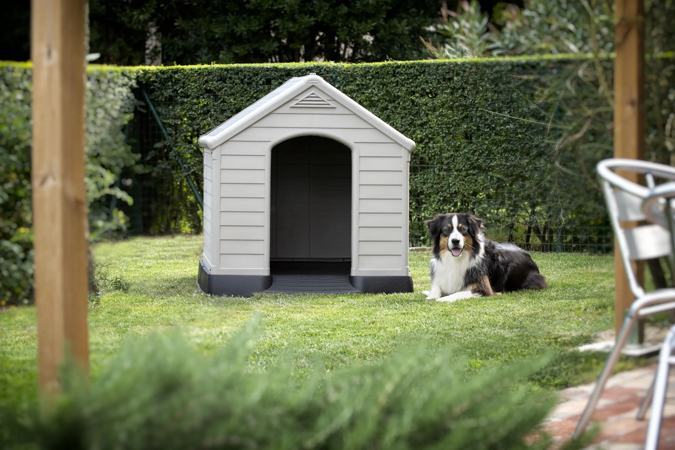 Curver Keter Cuccia per Cane, Grigia, 95 x 99 x 99H cm - immagine 5