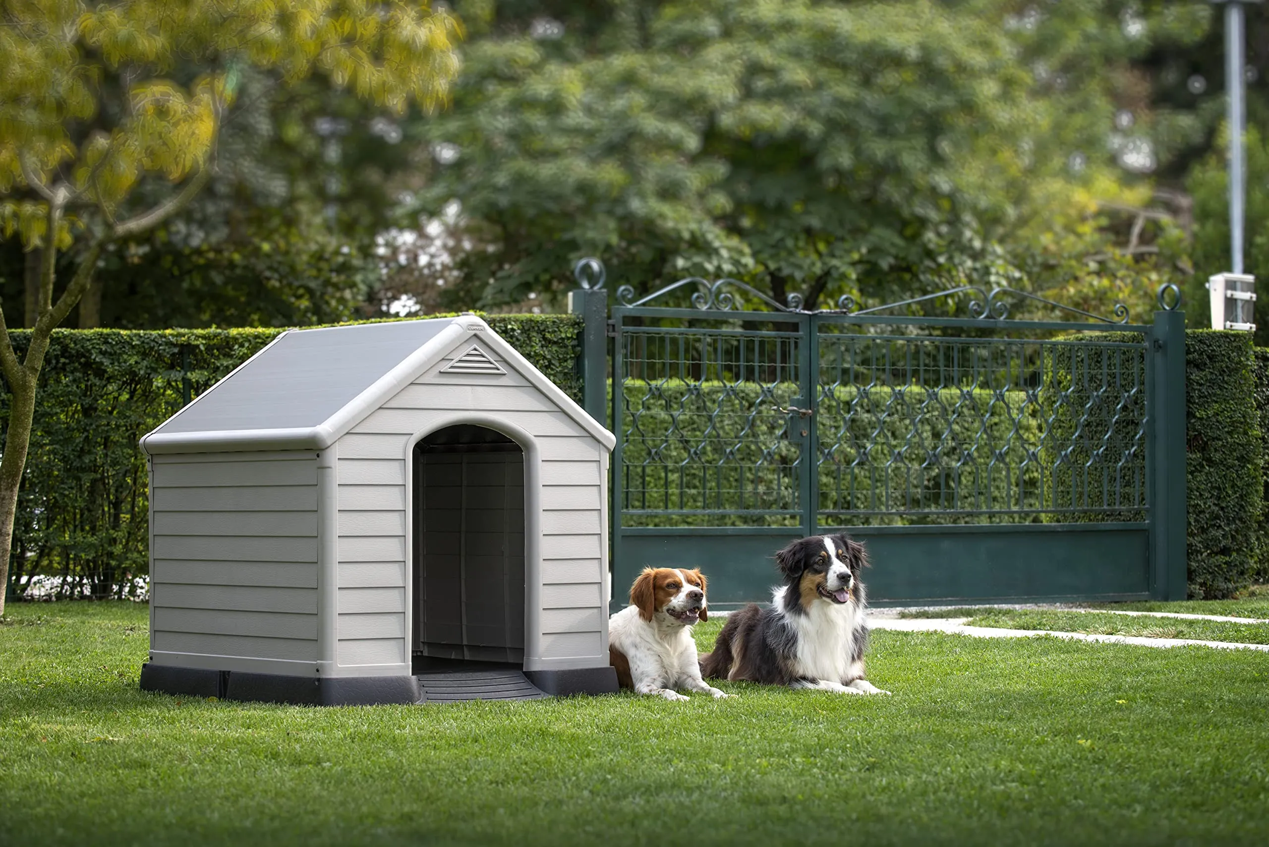 Curver Keter Cuccia per Cane, Grigia, 95 x 99 x 99H cm - immagine 6