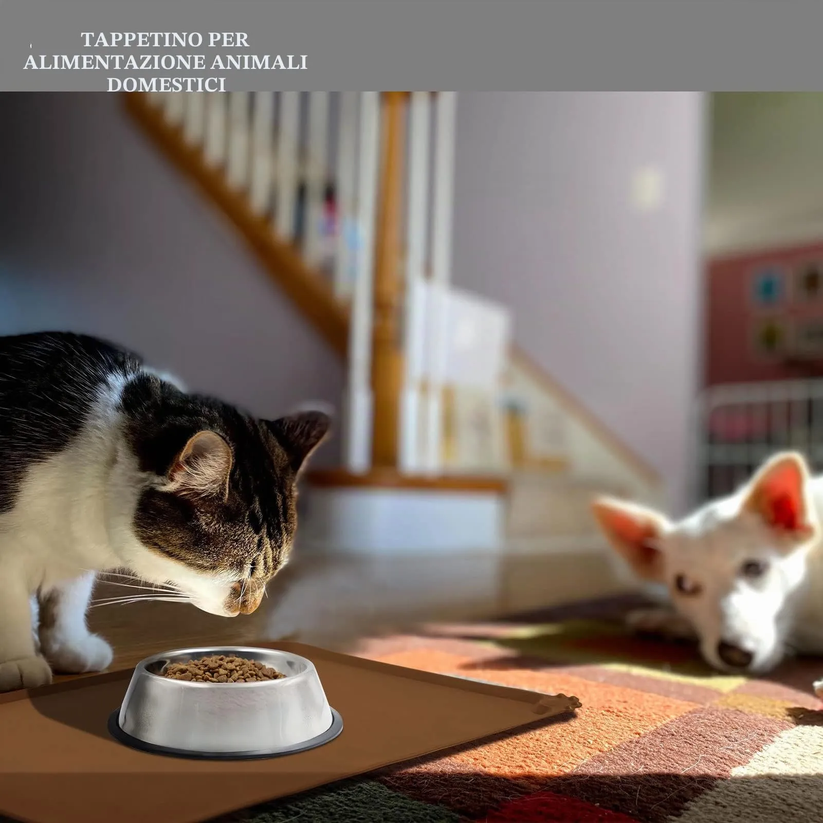 Reopet Tappetino in Silicone per Cibo e Acqua per Animali Domestici, Impermeabile e Antispill, 53 x 37 cm, Marrone - immagine 6