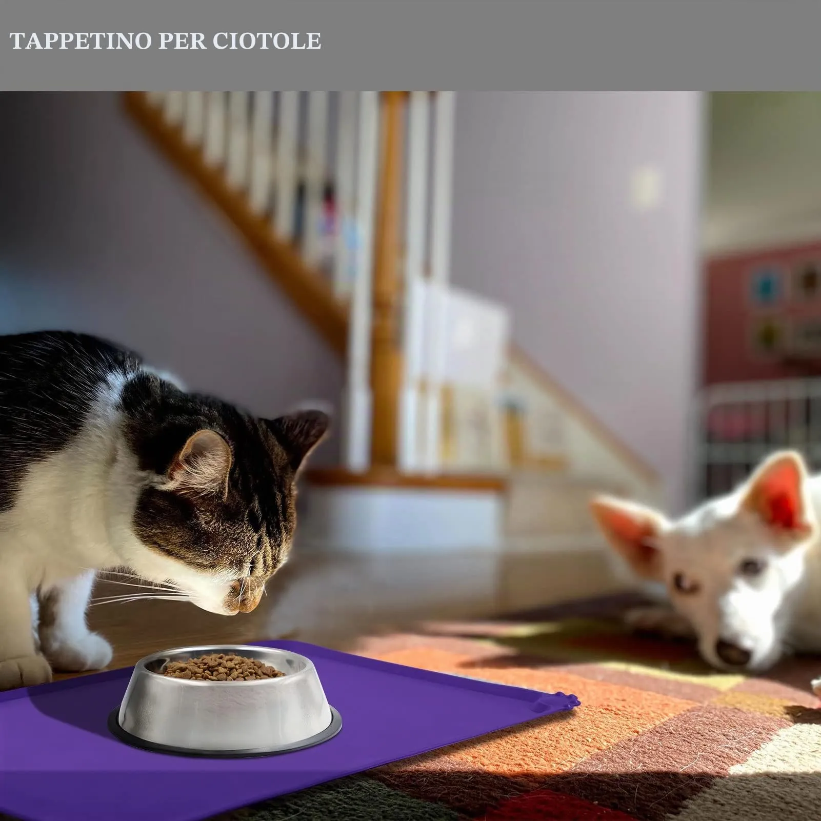 Reopet Tappetino in Silicone per Cibo e Acqua per Animali Domestici, Impermeabile con Bordi Rialzati Antispill, 60 x 40 cm, Viola - immagine 6