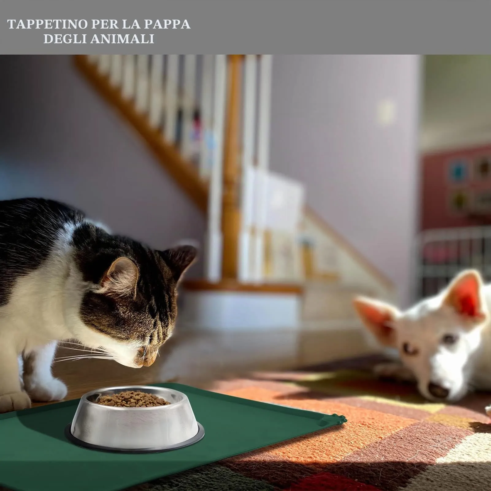 Reopet Tappetino in Silicone per Cibo e Acqua per Animali Domestici, Impermeabile e Antispill, 53 x 37 cm, Verde scuro - immagine 2