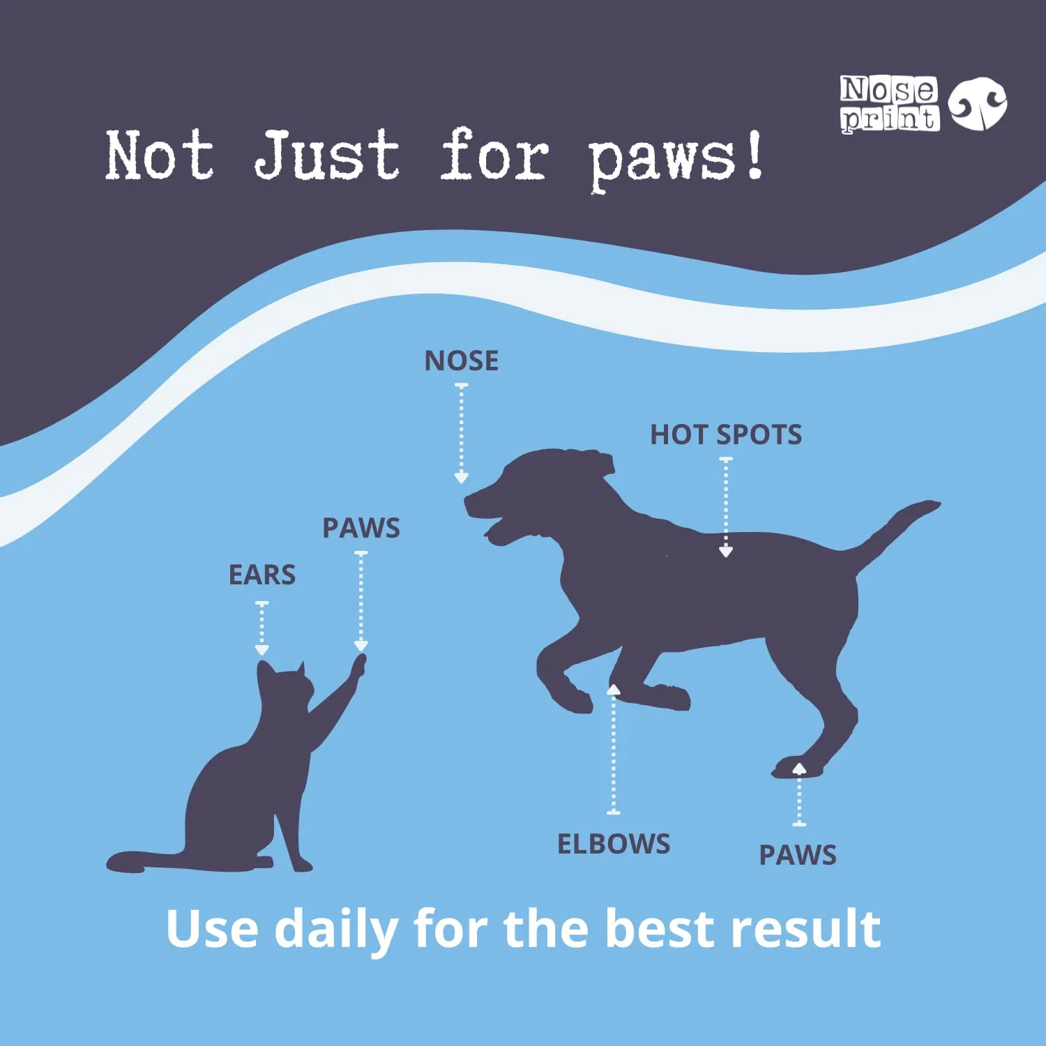 Noseprint Dog Nose & Paw Balm, 100ml - immagine 6