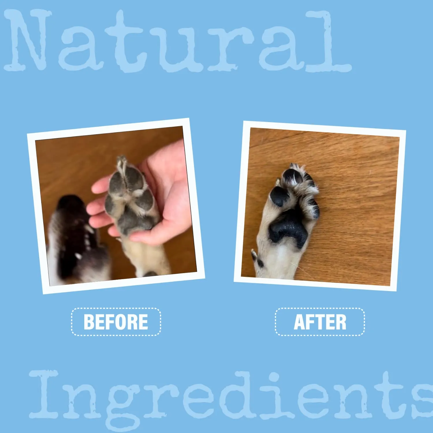 Noseprint Dog Nose & Paw Balm, 100ml - immagine 7