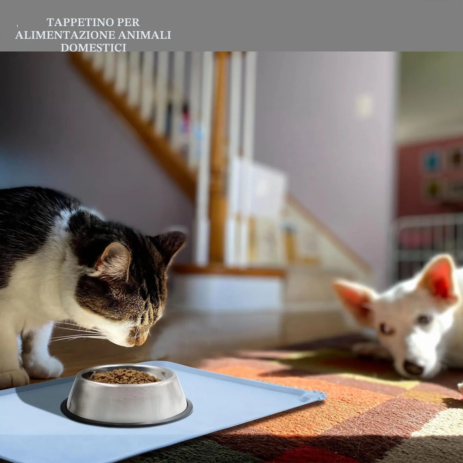 Reopet Tappetino in Silicone per Cibo e Acqua per Animali Domestici, Impermeabile con Bordi Rialzati, 60 x 40 cm, Blu Nave da Guerra - immagine 6