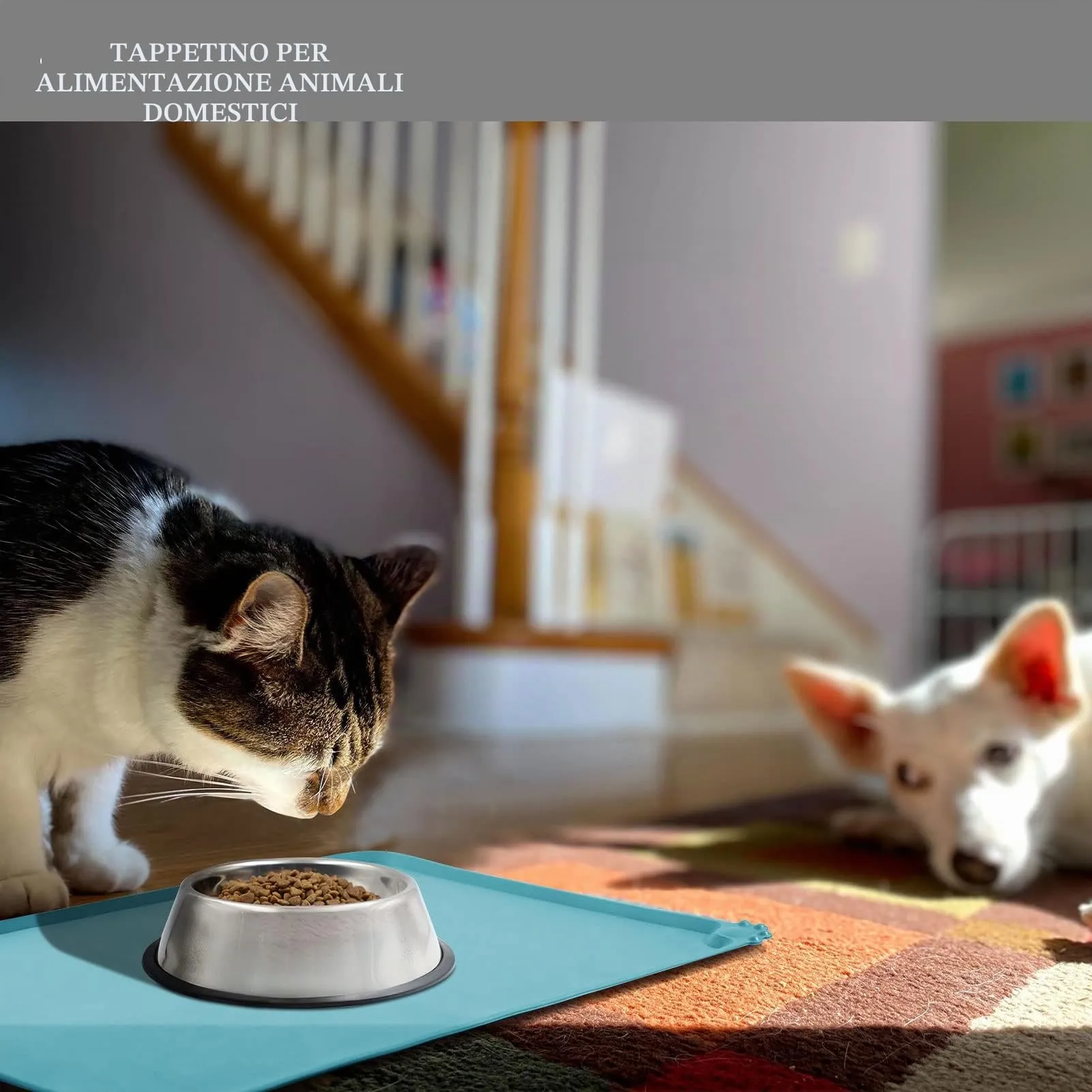 Reopet Tappetino in Silicone per Cibo e Acqua per Animali Domestici, Impermeabile e Antispill, 53 x 37 cm, Turchese - immagine 6