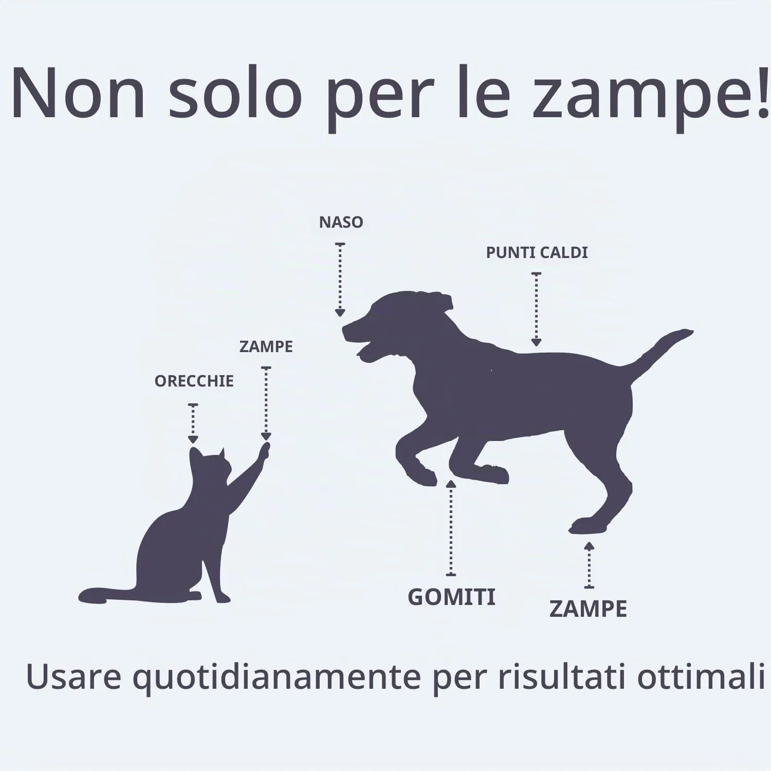 Noseprint Balsamo per Zampa e Naso per Cane, 30 ml - immagine 3